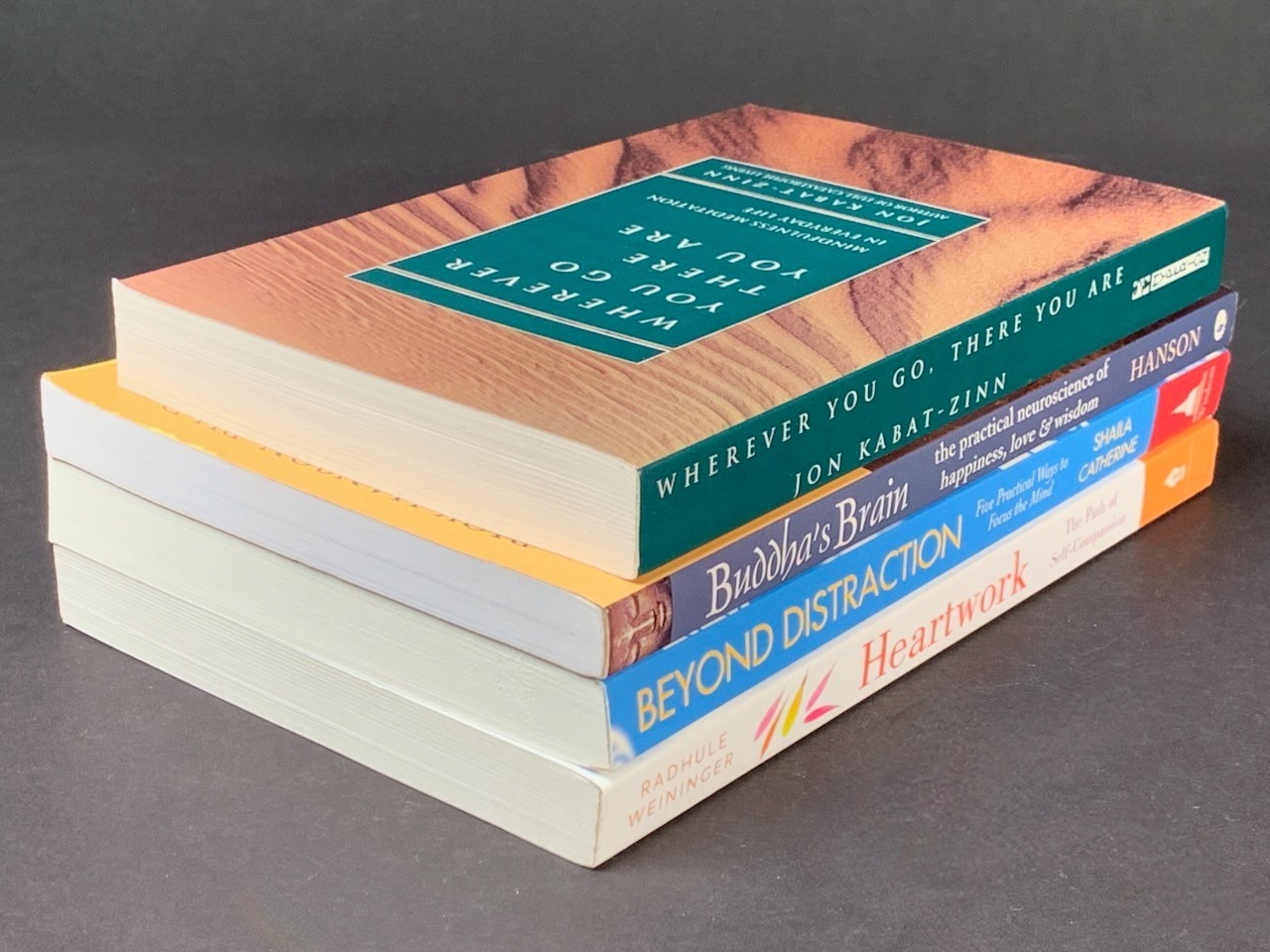 Mindfulness Meditation – Lot of 4 – Jon Kabat-Zinn, « Buddha&rsquo; Brain » – Softcover