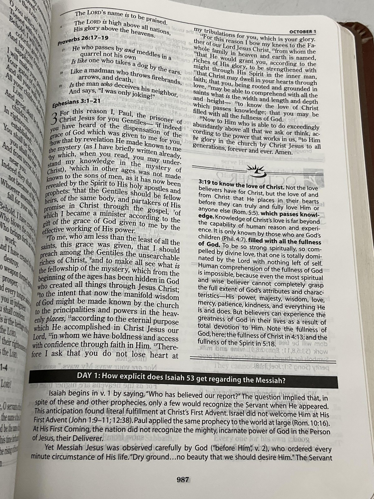 The MacArthur Daily Bible John F MacArthur Jr Thomas Nelson 2003 Softcover Brown