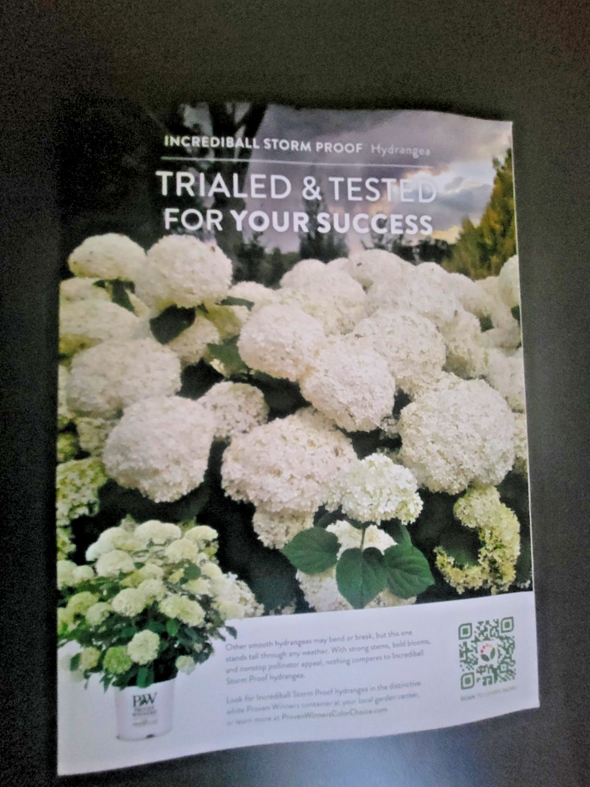 The Old Farmer&rsquo;s Almanac Garden Guide 2026 – All Information Needed For Success