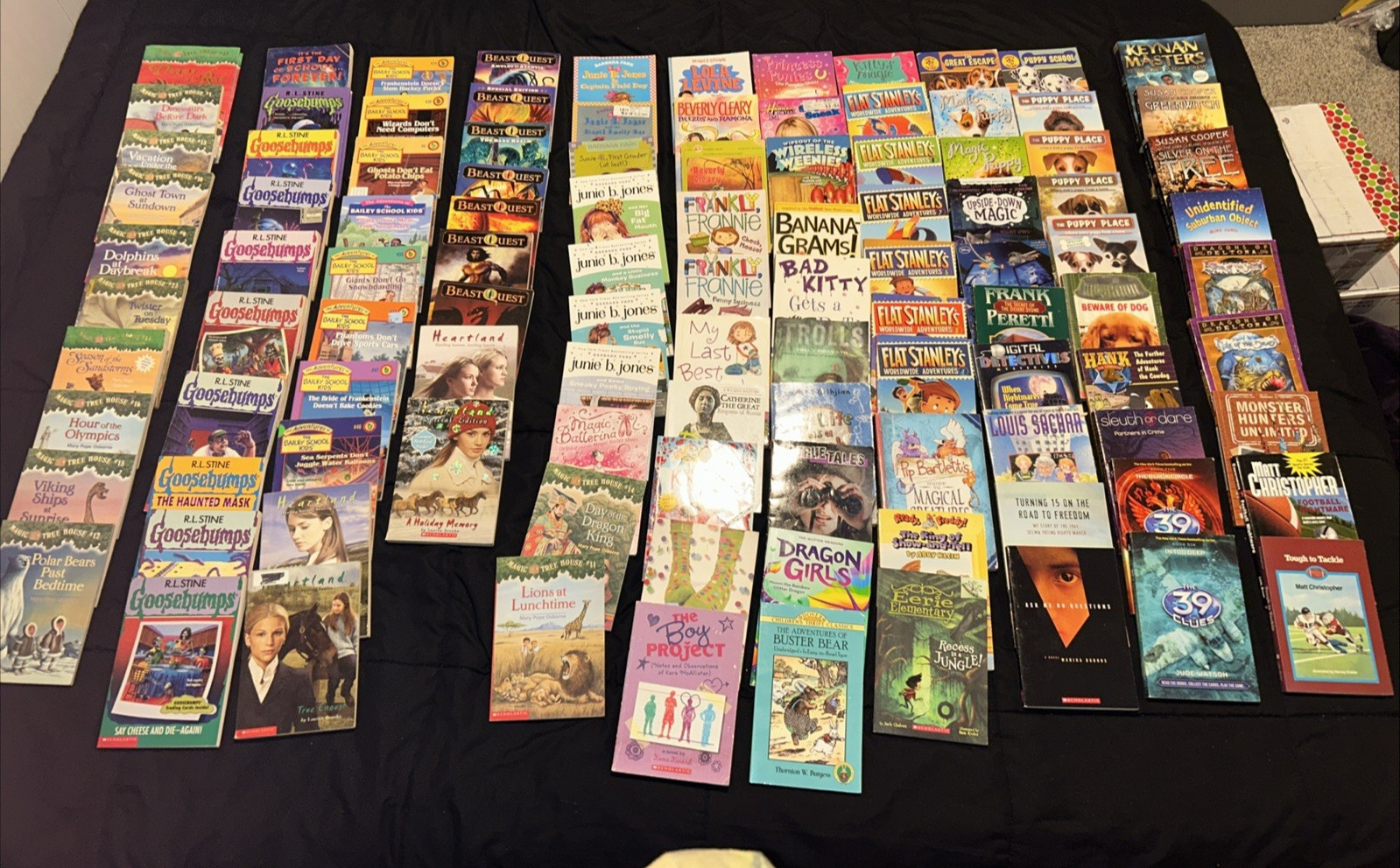 Bulk/Huge Lot of 108 of Children&rsquo;s Kids Chapter Books -Large Assortment