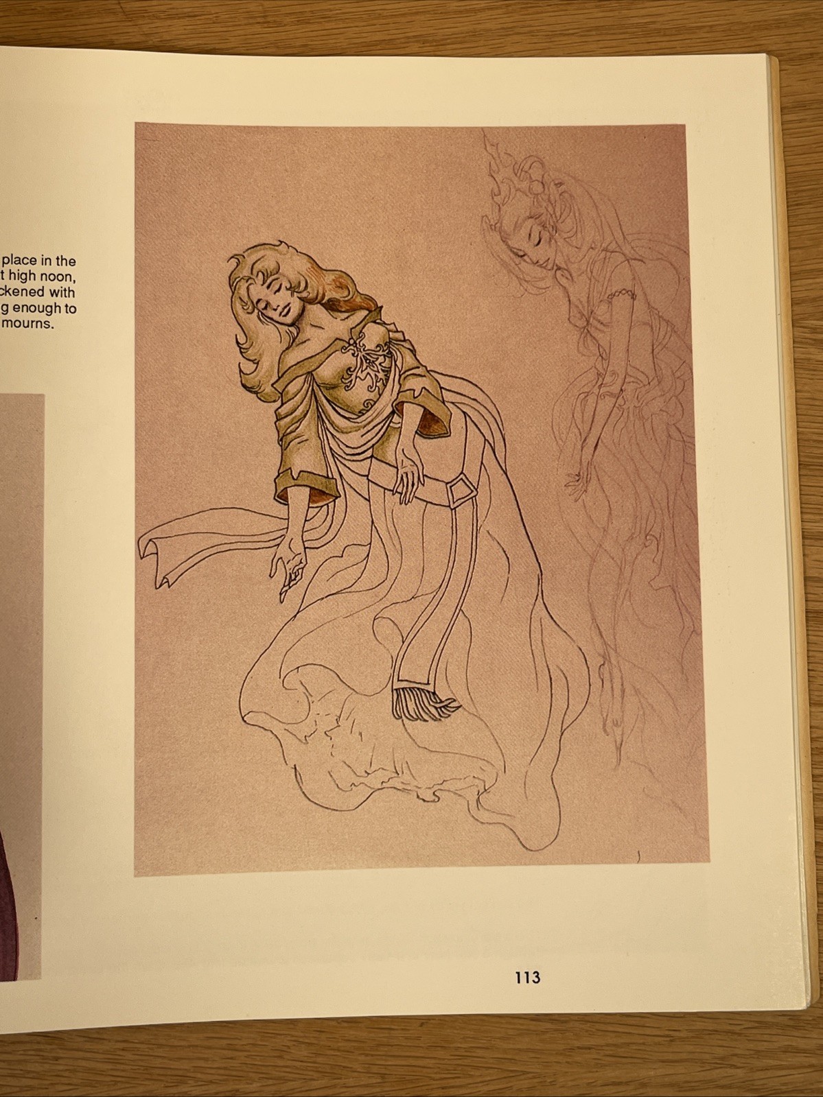 Law & Chaos The “Stormbringer” Animated Film Project Wendy Pini 1987