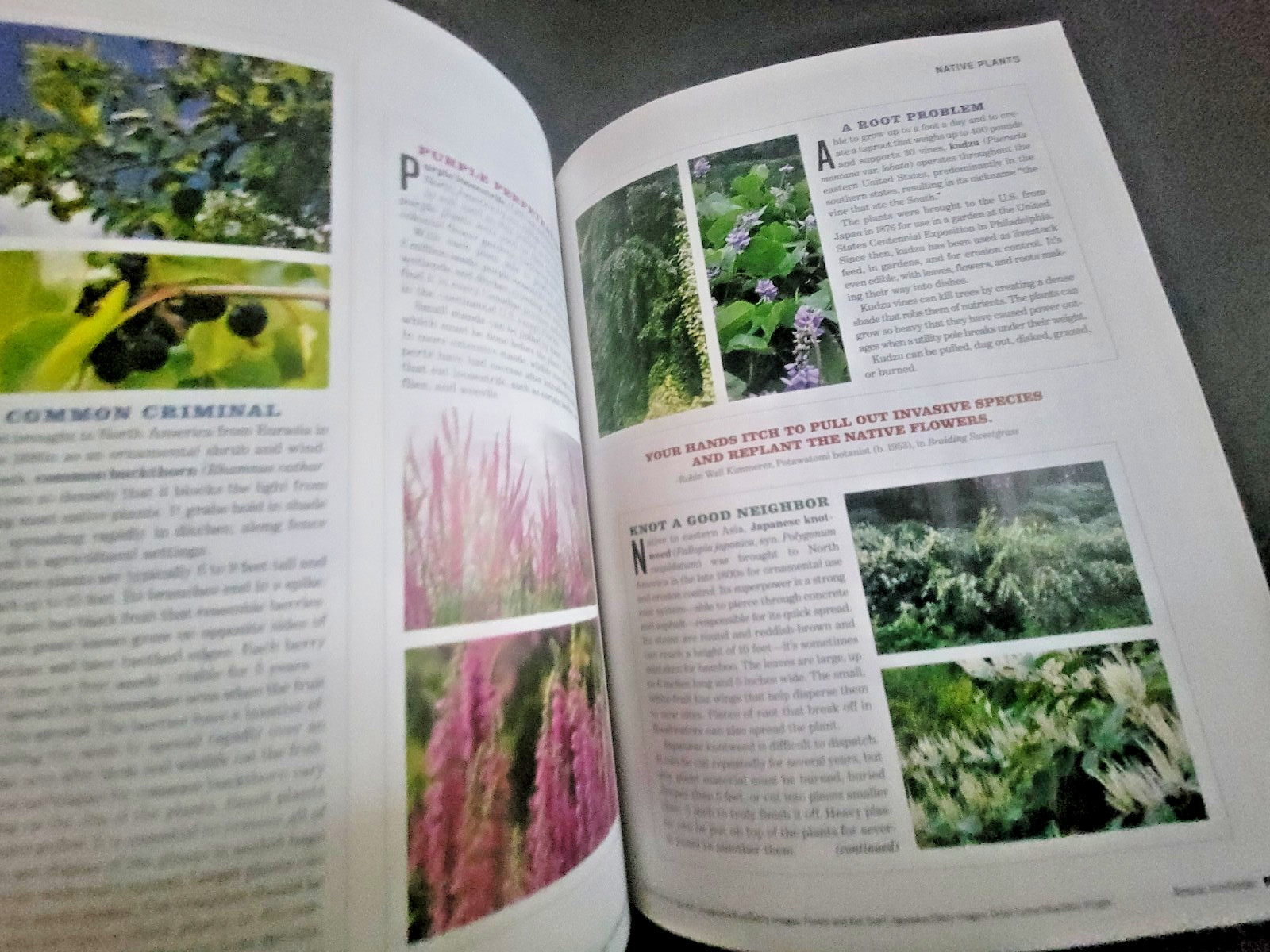 The Old Farmer&rsquo;s Almanac Garden Guide 2026 – All Information Needed For Success