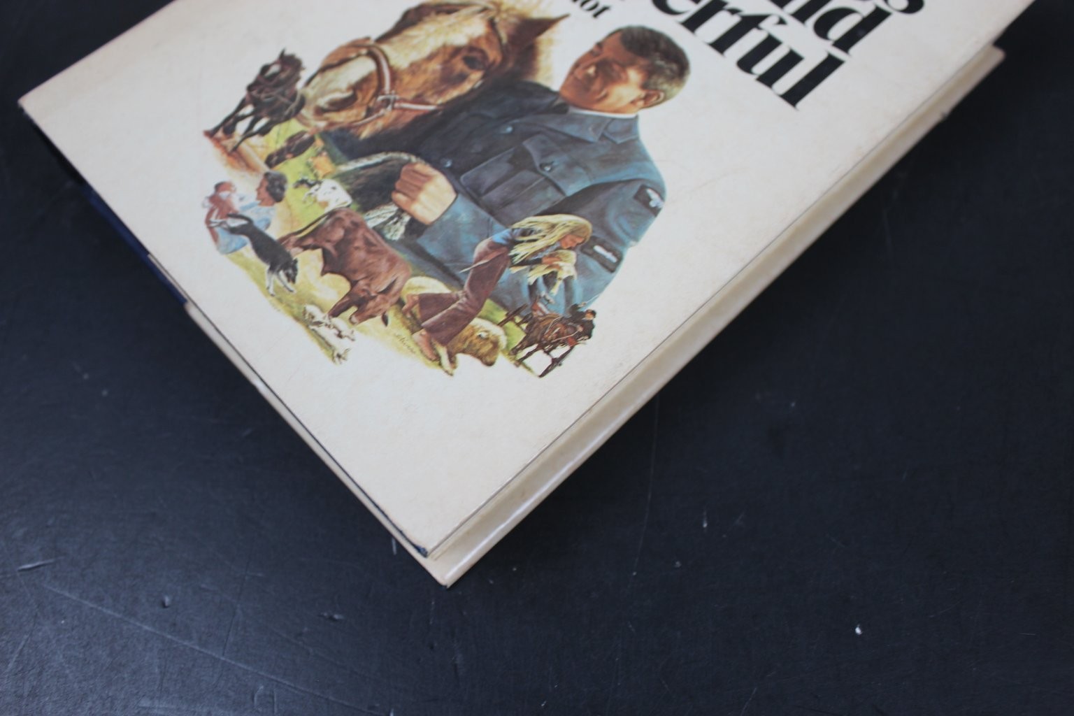 All Things Wise and Wonderful James Herriot 1977 Book Club Edition St. Martin&rsquo;s