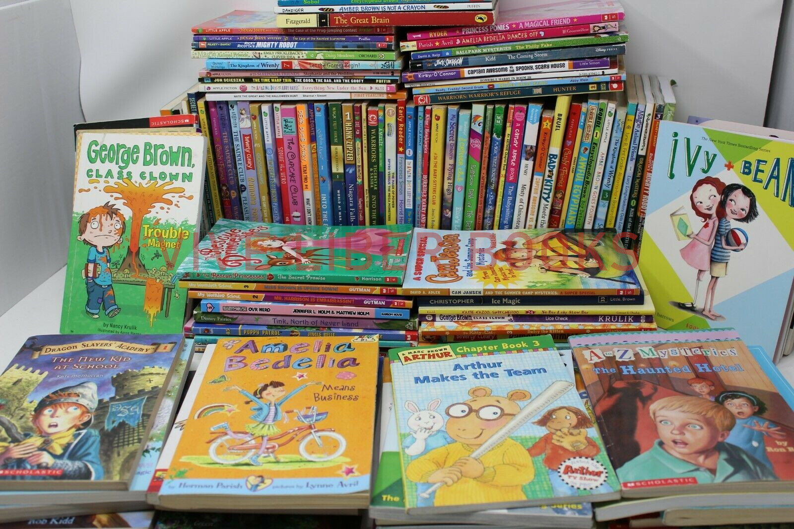 Bulk/Huge Lot of 50 of Children&rsquo;s Kids Chapter Books – Random – Free Shipping!
