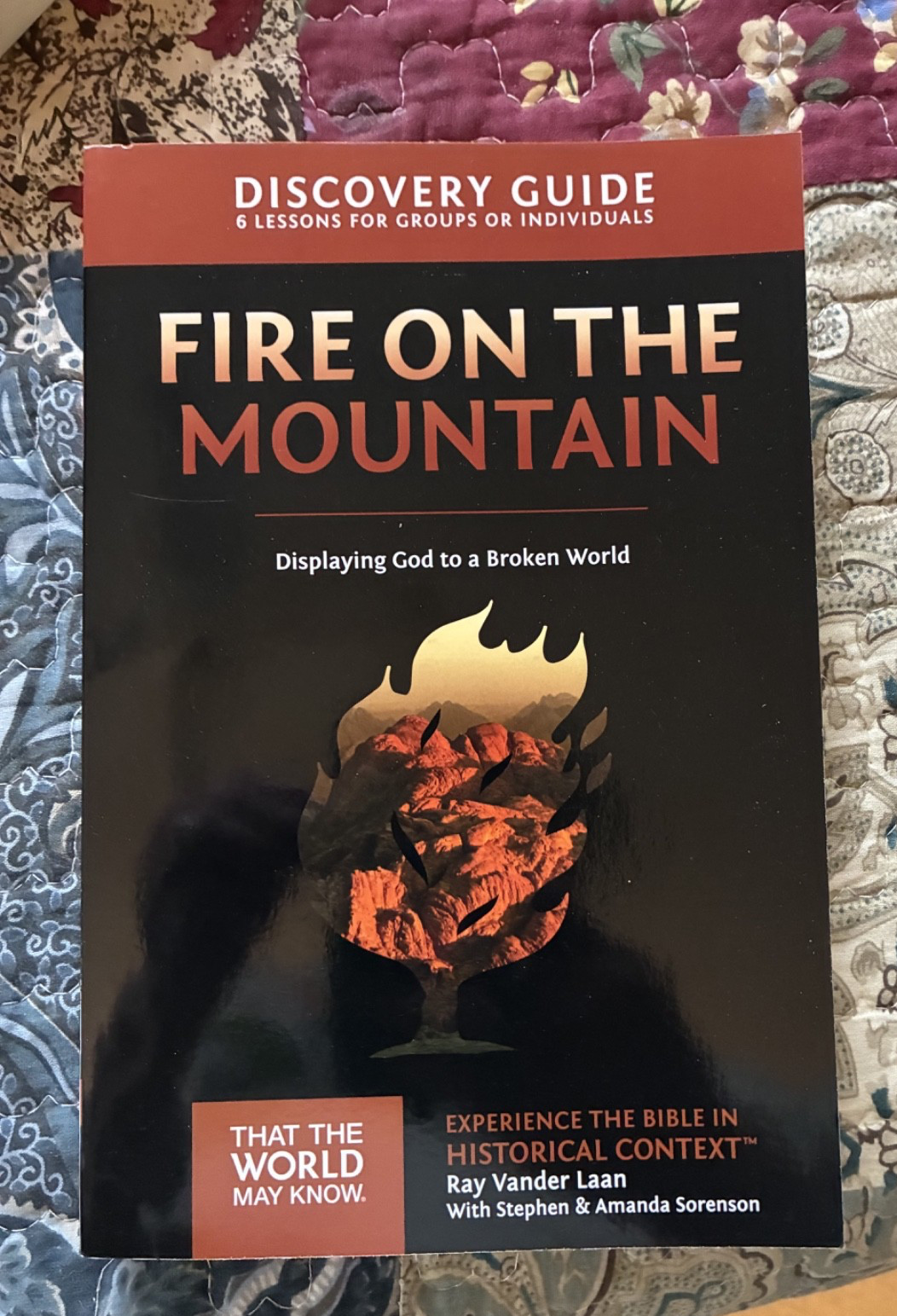 2 Discovery Guides by Ray Vander Laan: WALKING WITH GOD & FIRE ON THE MOUNTAIN