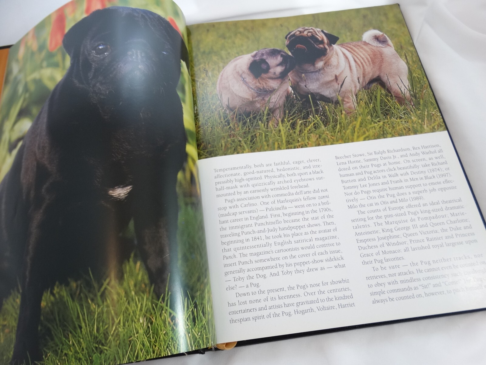 For The Love Of Pugs Book By Robert Hutchinson 1998 Gold Gilt Browntrout Publish