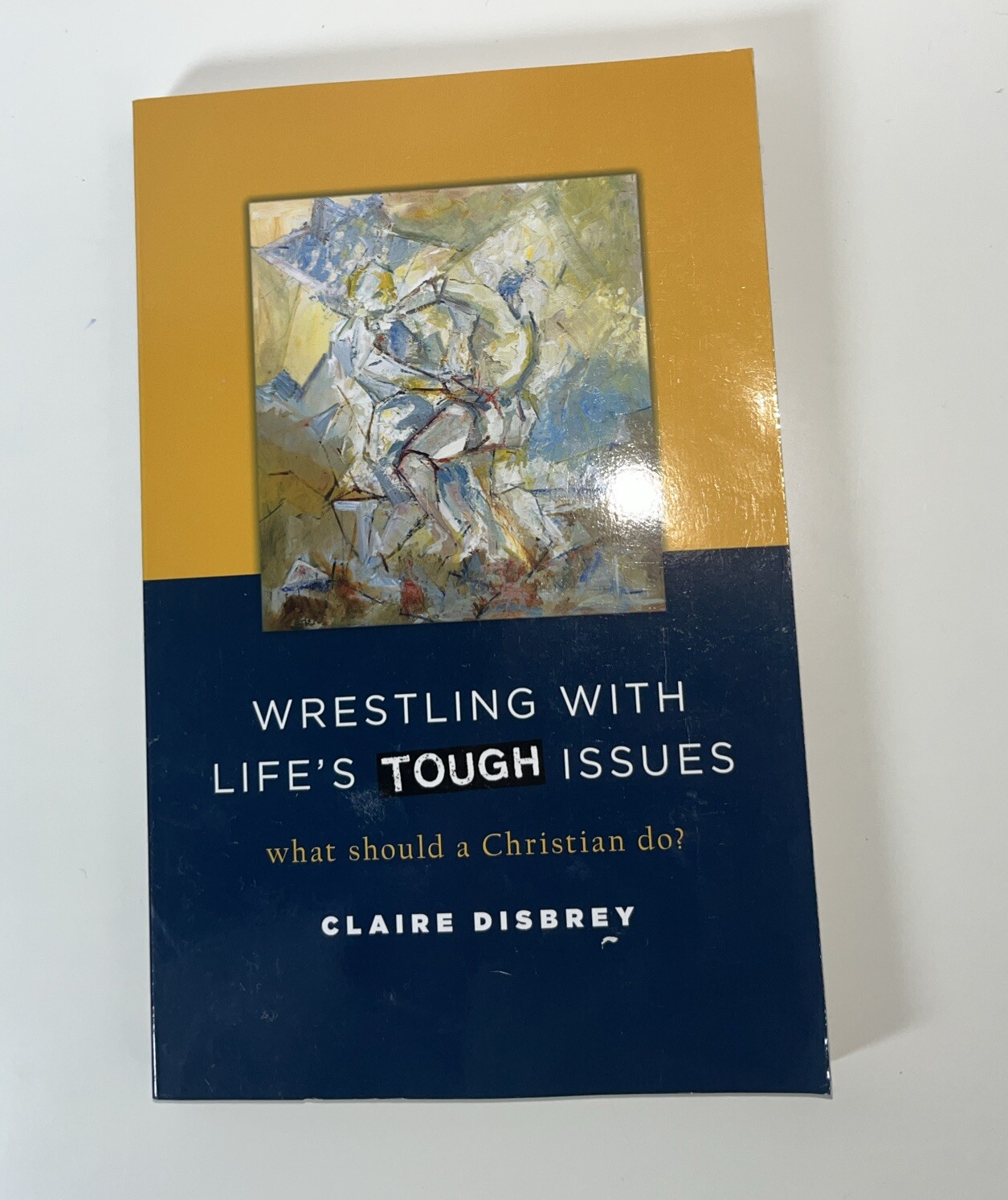 Wrestling with Life&rsquo;s Tough Issues : What Should a Christian Do? by Claire…