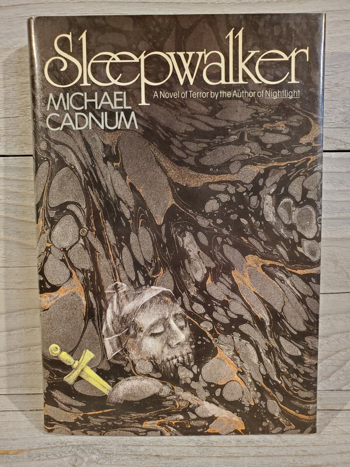 Sleepwalker by Michael Cadnum (St. Martin&rsquo;s Press, 1991) hardcover