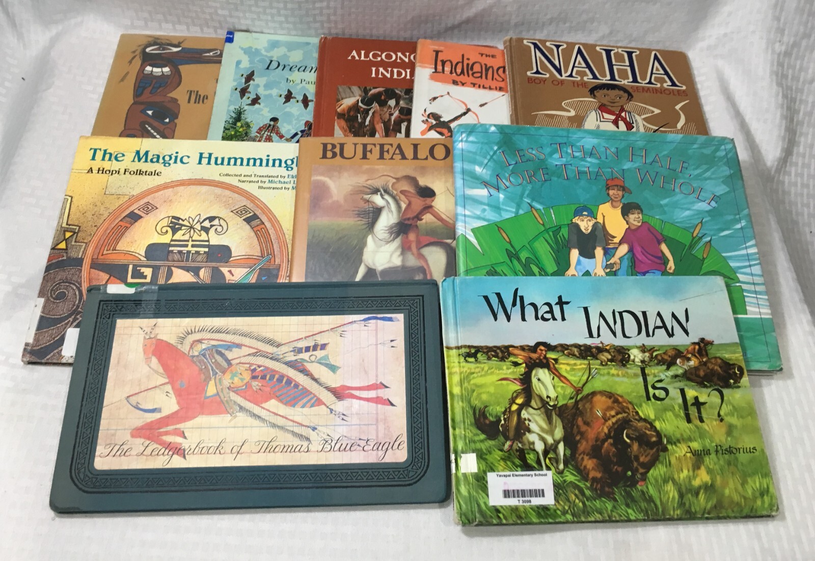 NATIVE AMERICAN BOOK LOT / 10 CHILDREN&rsquo;S PICTURE BOOK / HC / MULTIPLE TITLES