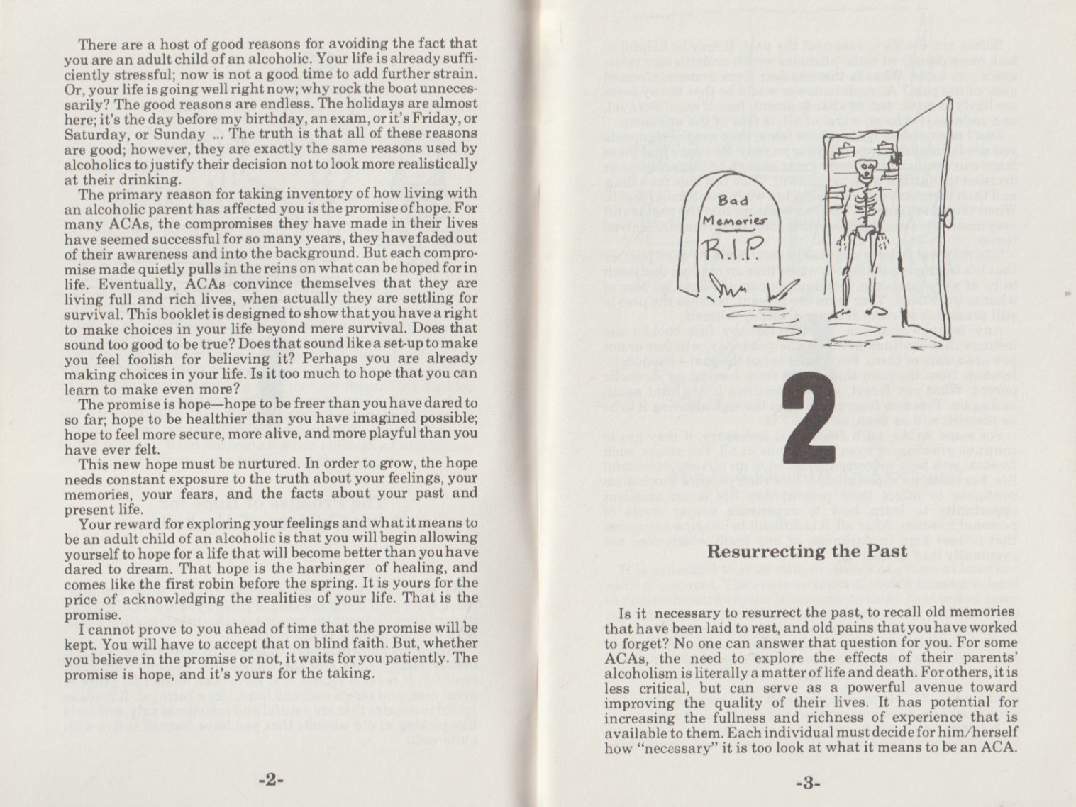TIMMEN CERMAK, A Primer on Adult Children of Alcoholics 1985, 56 pages, 1st/1st
