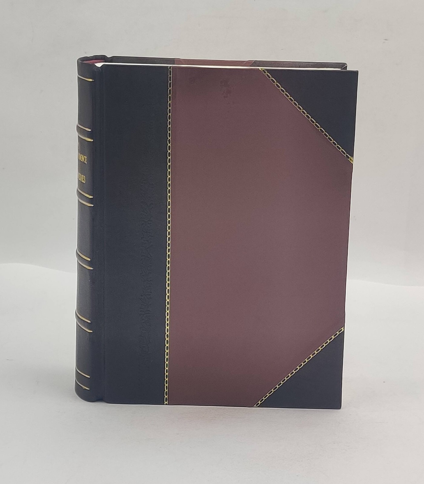 Pomeroy&rsquo;S Equity Jurisprudence And Equitable Remedies [Leather Crafted]