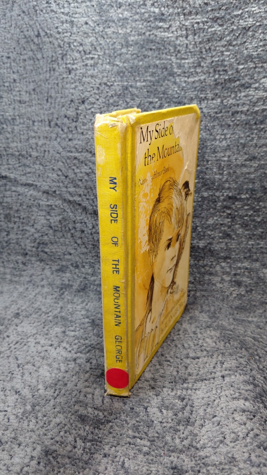 VTG RARE 1959-1975 MY SIDE OF THE MOUNTAIN By Jean Craighead George – Hardcover