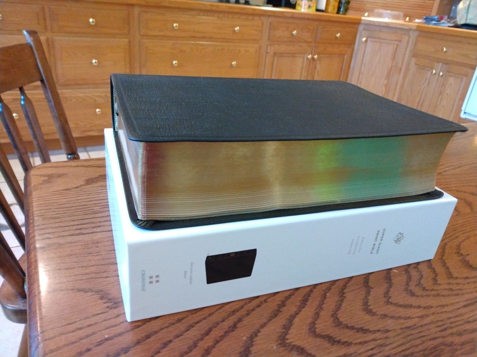 ESV SUPER GIANT Print Bible Black genuine leather ©2001~ 17 point font