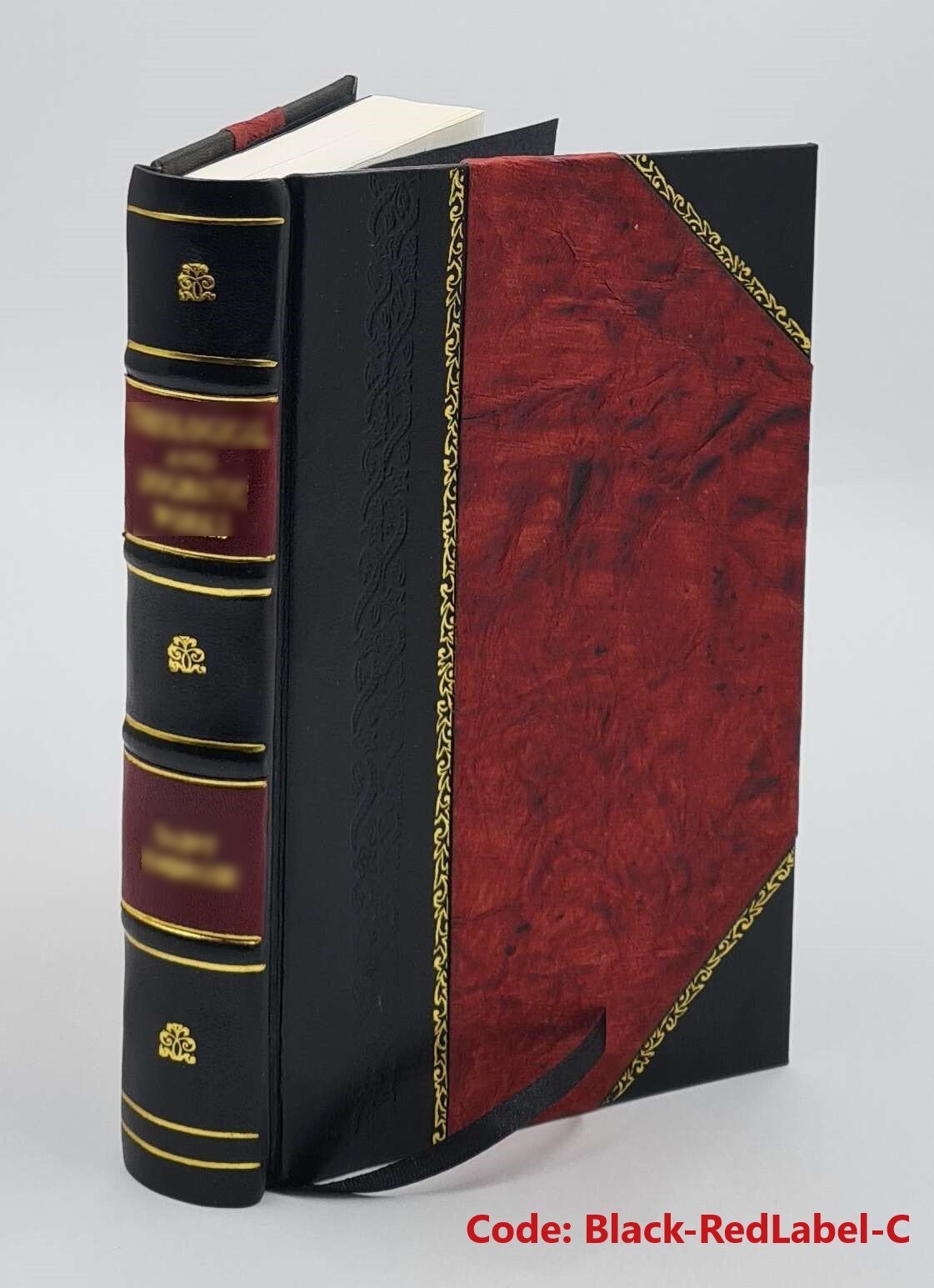 Geschichte des osterreichischen Strafrechtes in Verbindung mit e [Leather Bound]