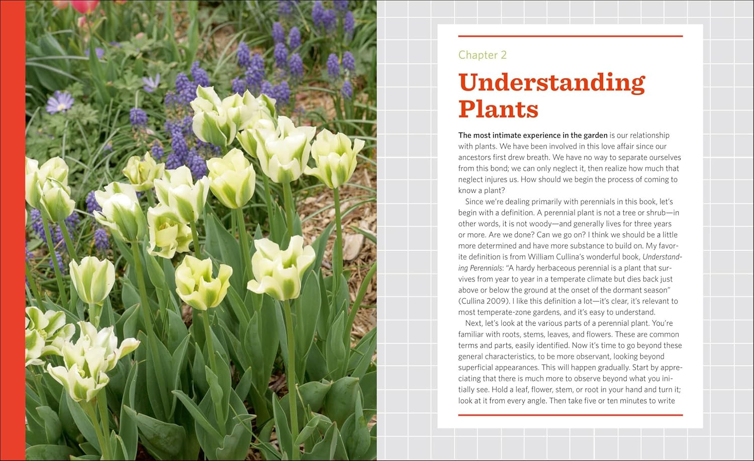 The Know Maintenance Perennial Garden
