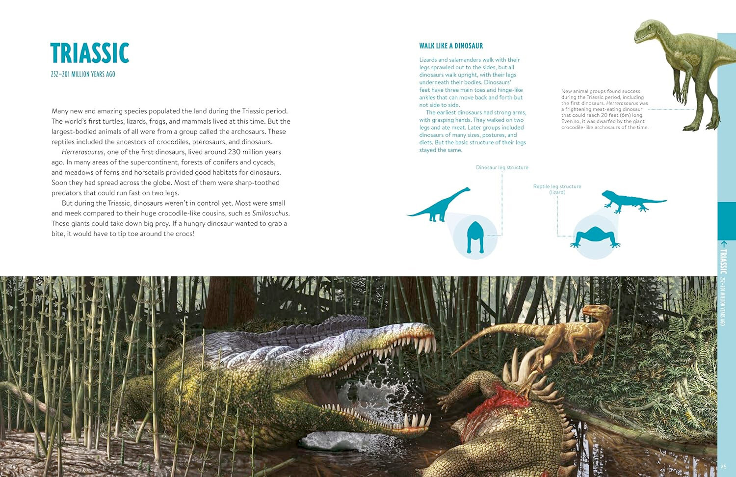 Prehistoric: Dinosaurs, Megalodons, and Other Fascinating Creatures of the Deep