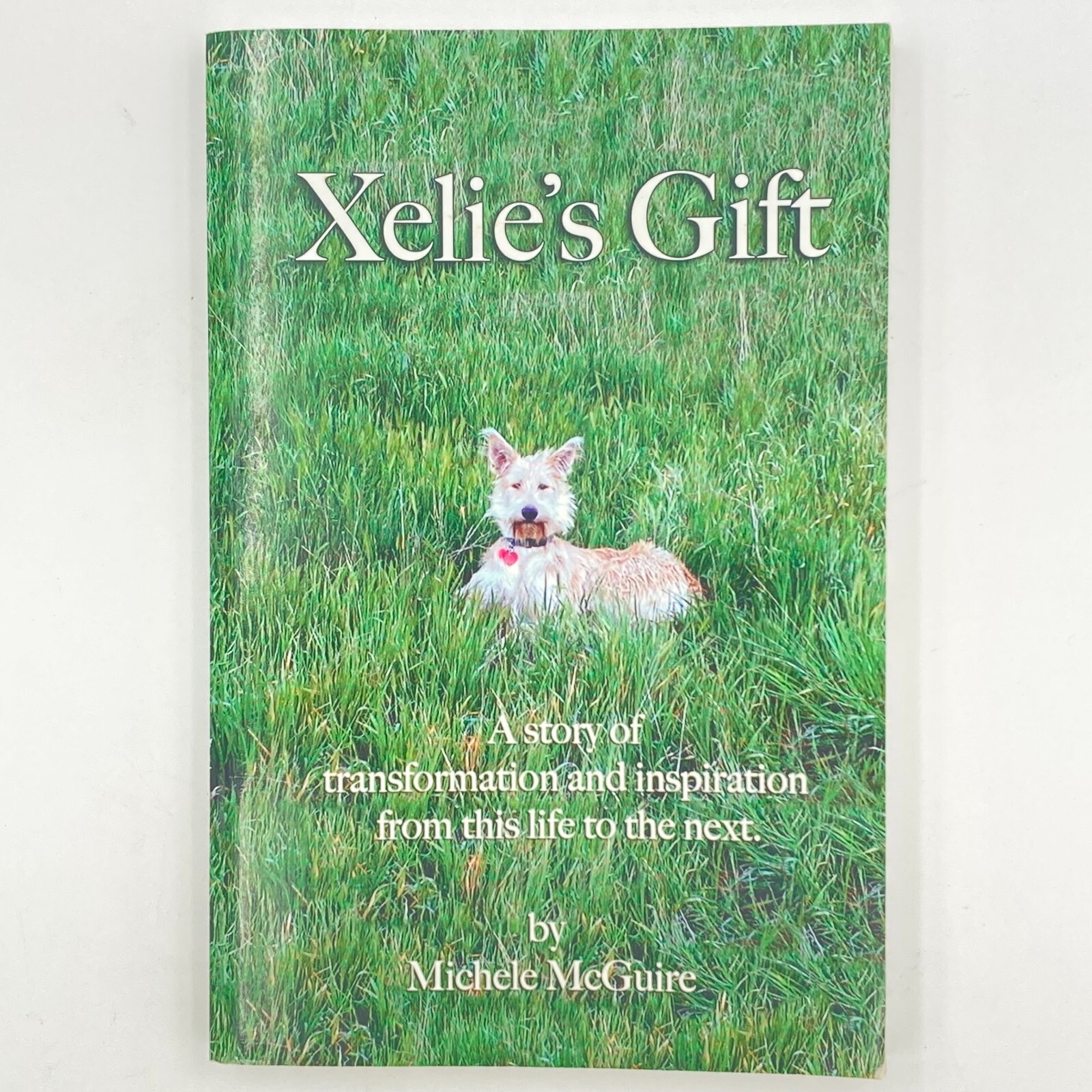 Xelie&rsquo;s Gift by Michele McGuire (2014, Trade Paperback) GC 272 pages