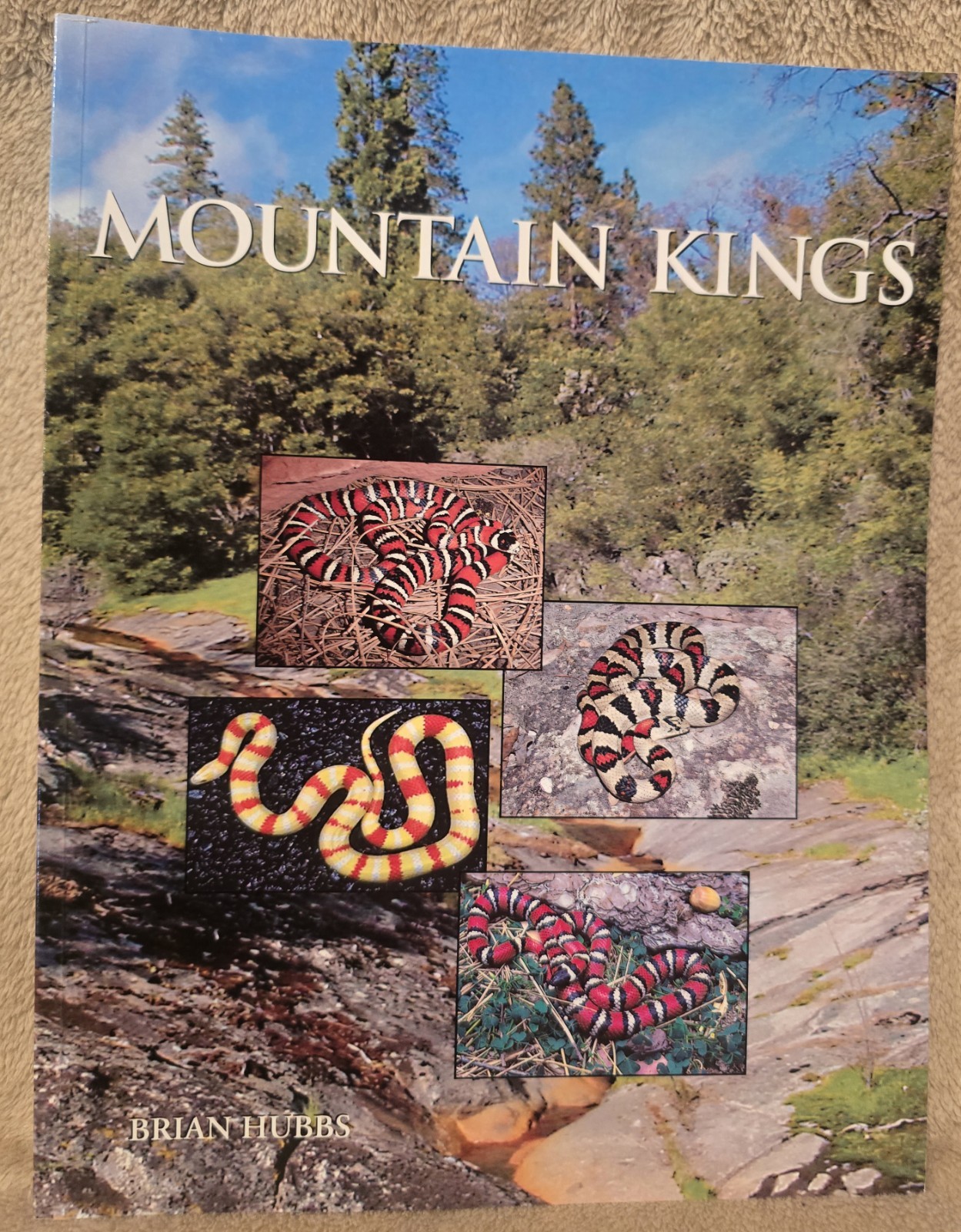 Mountain Kings: Brian Hubbs. « OUT OF PRINT » Brand NEW!!!