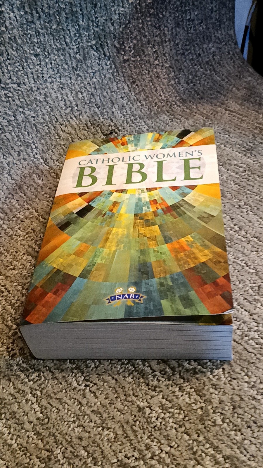 Catholic Women&rsquo;s Bible Bricker New American Bible Softcover (2012) [VG]
