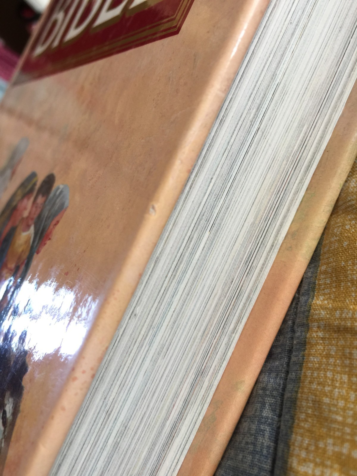 The Golden Children&rsquo;s Bible: A Full-Color Bible for Kids Hardcover 512 Pages
