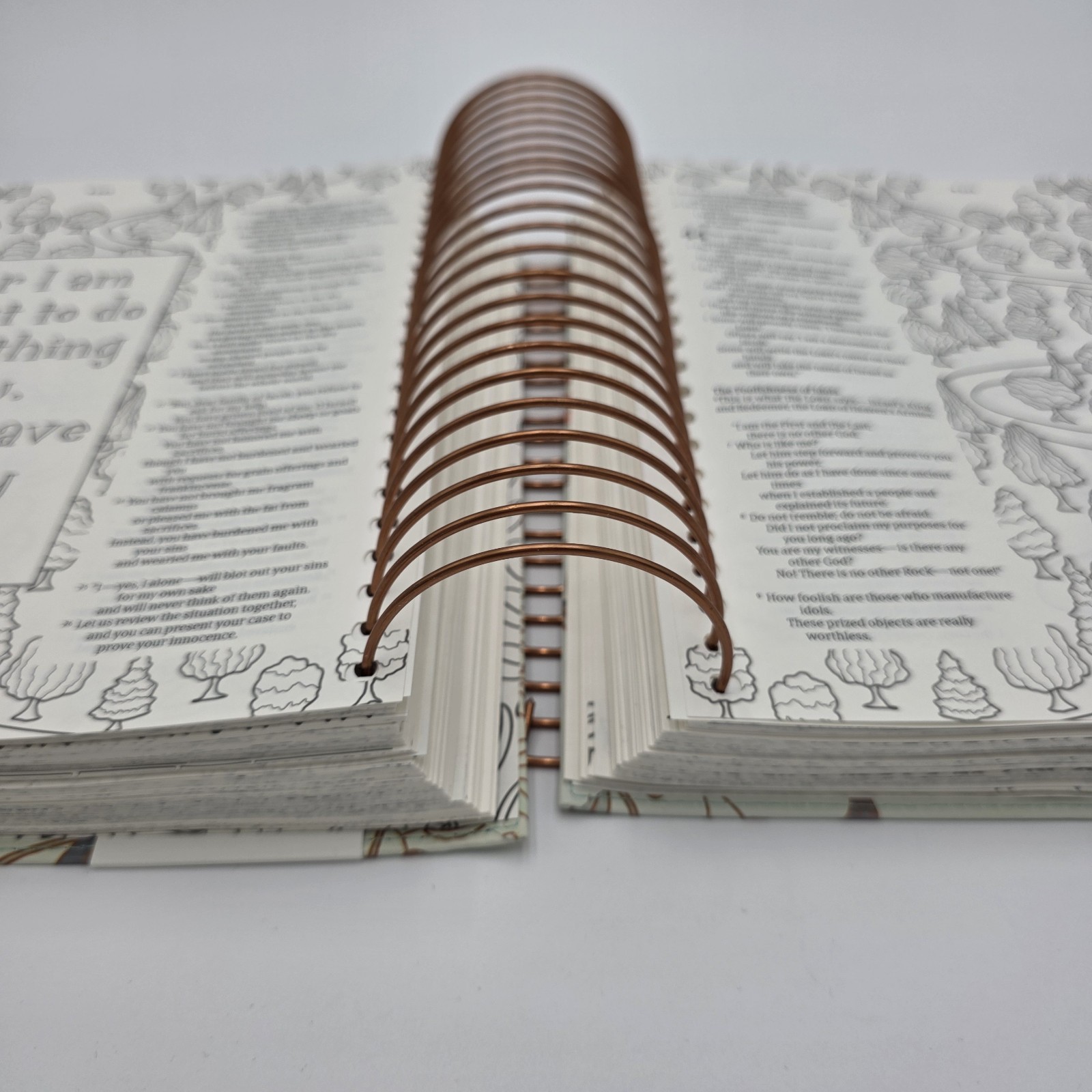 NLT Bible DaySpring Inspire Illustrating Bible With Filament App Spiral Bound