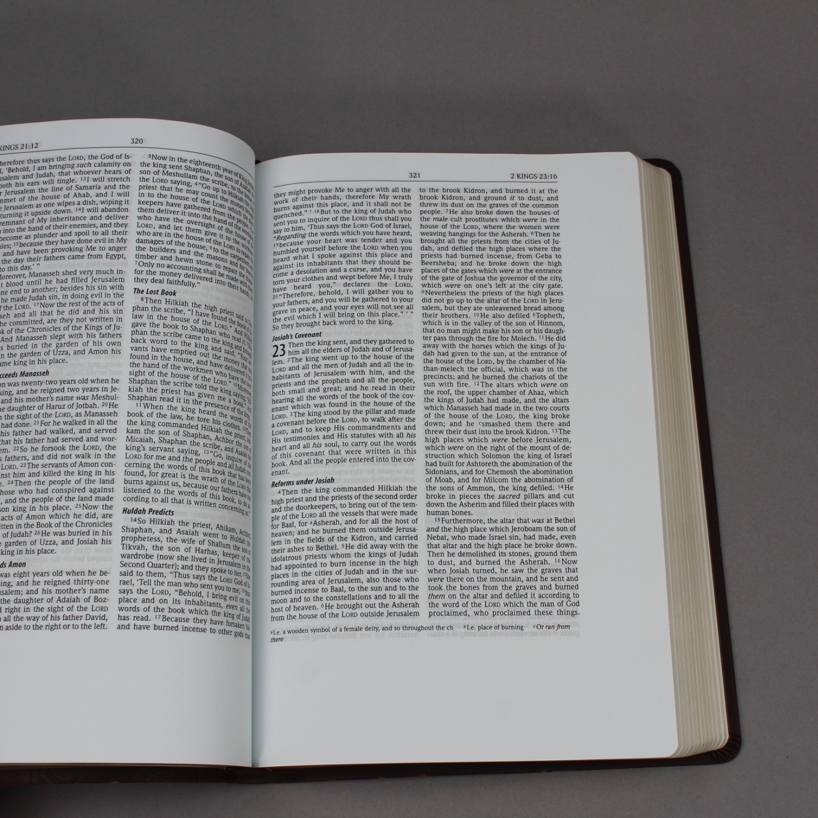 New American Standard Note-Taker&rsquo;s Bible Leathersoft Vegan Leather Red Letter