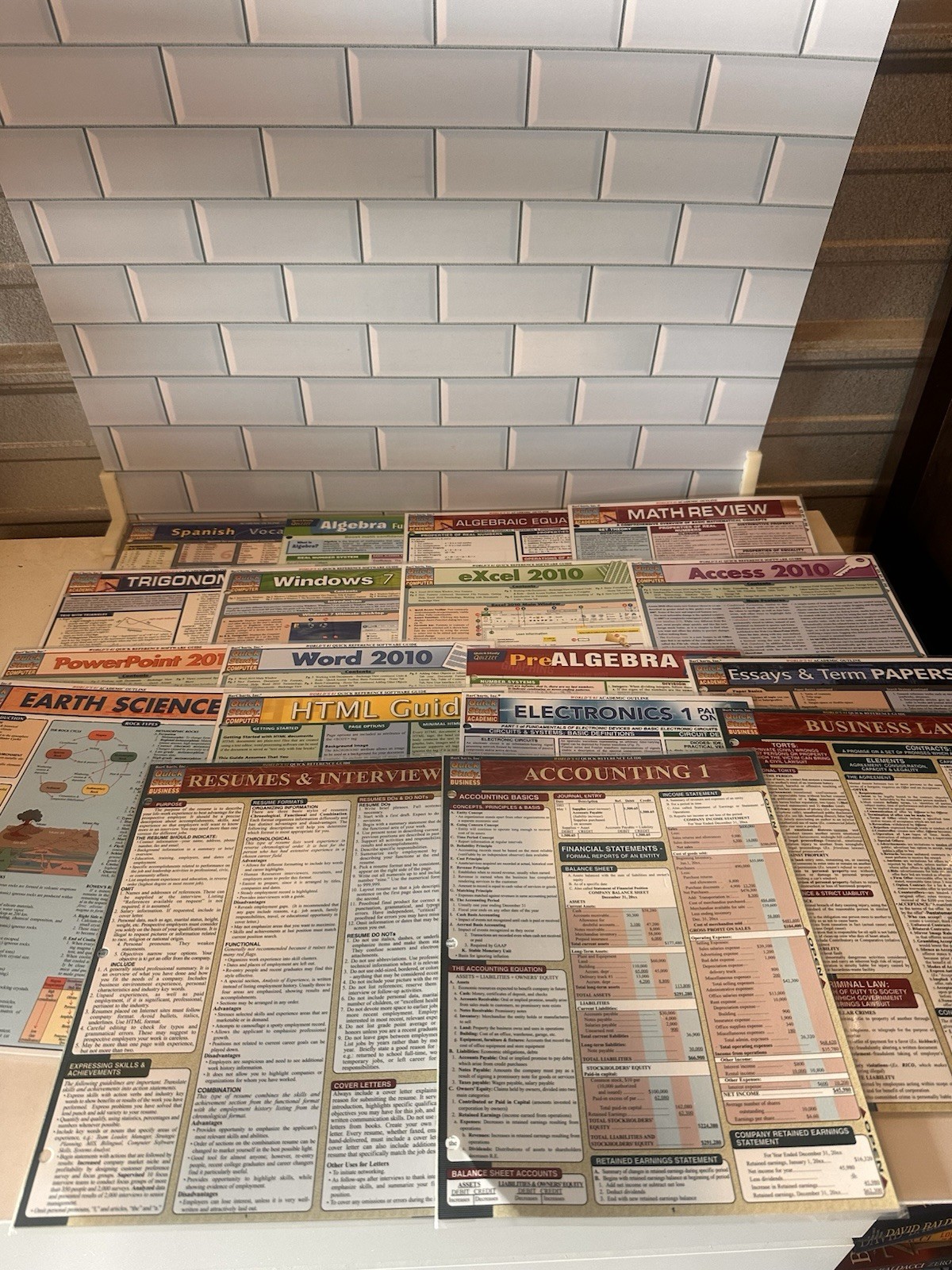 Lot of 18 Laminated Study Guides QuickStudy & SparkCharts