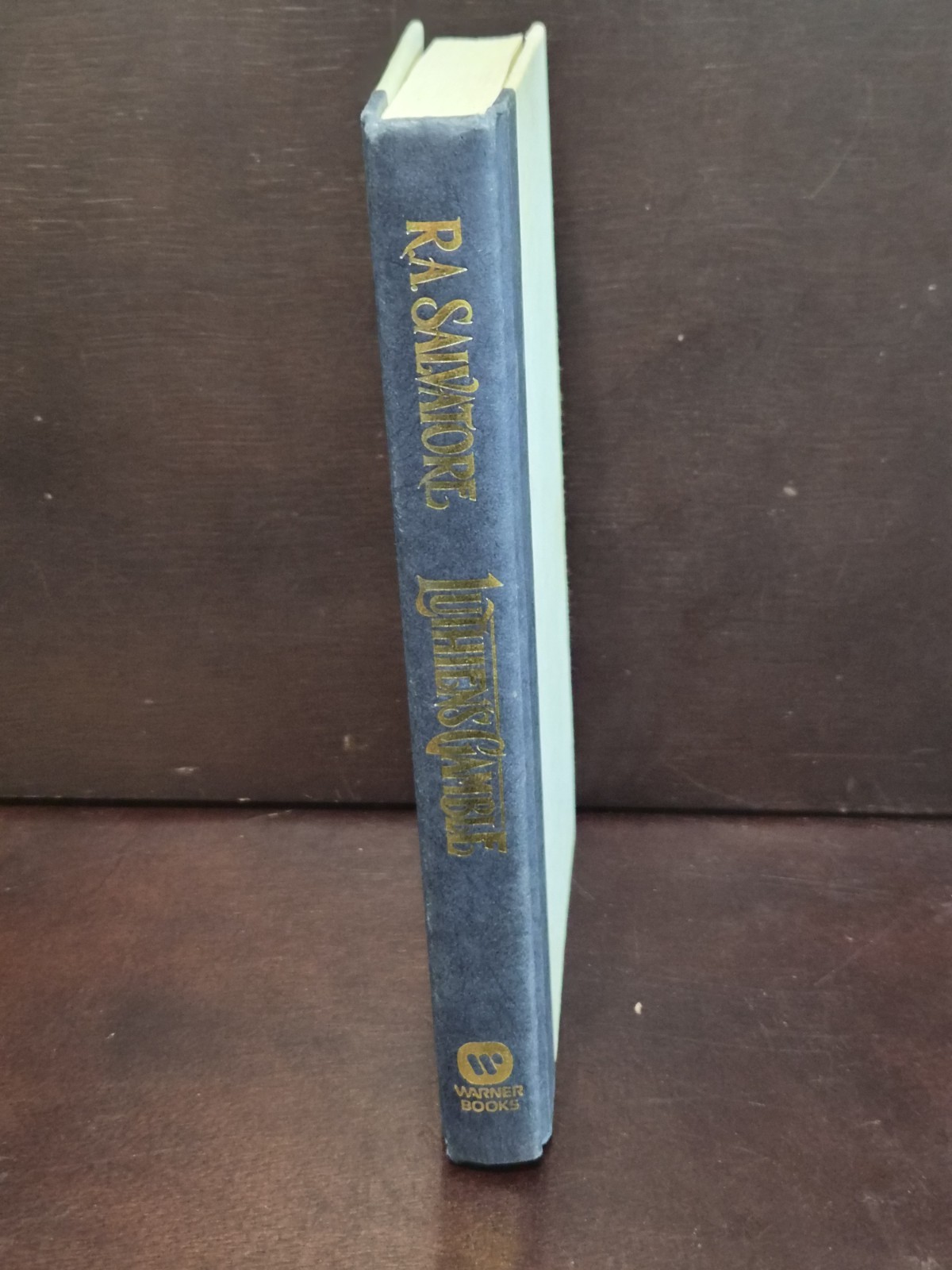 Luthien&rsquo;s Gamble R.A. Salvatore 1996 1st Ed 1st Printing HCDJ VG Mylar
