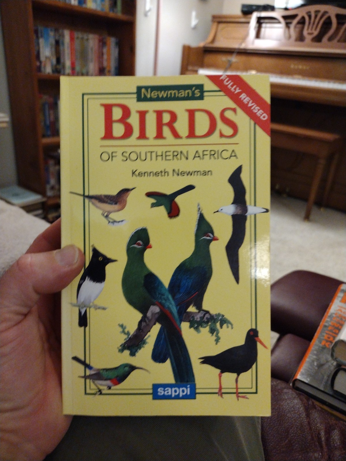 Kenneth Newman Newman&rsquo;s Birds of Southern Africa Fully Revised Illust by Author