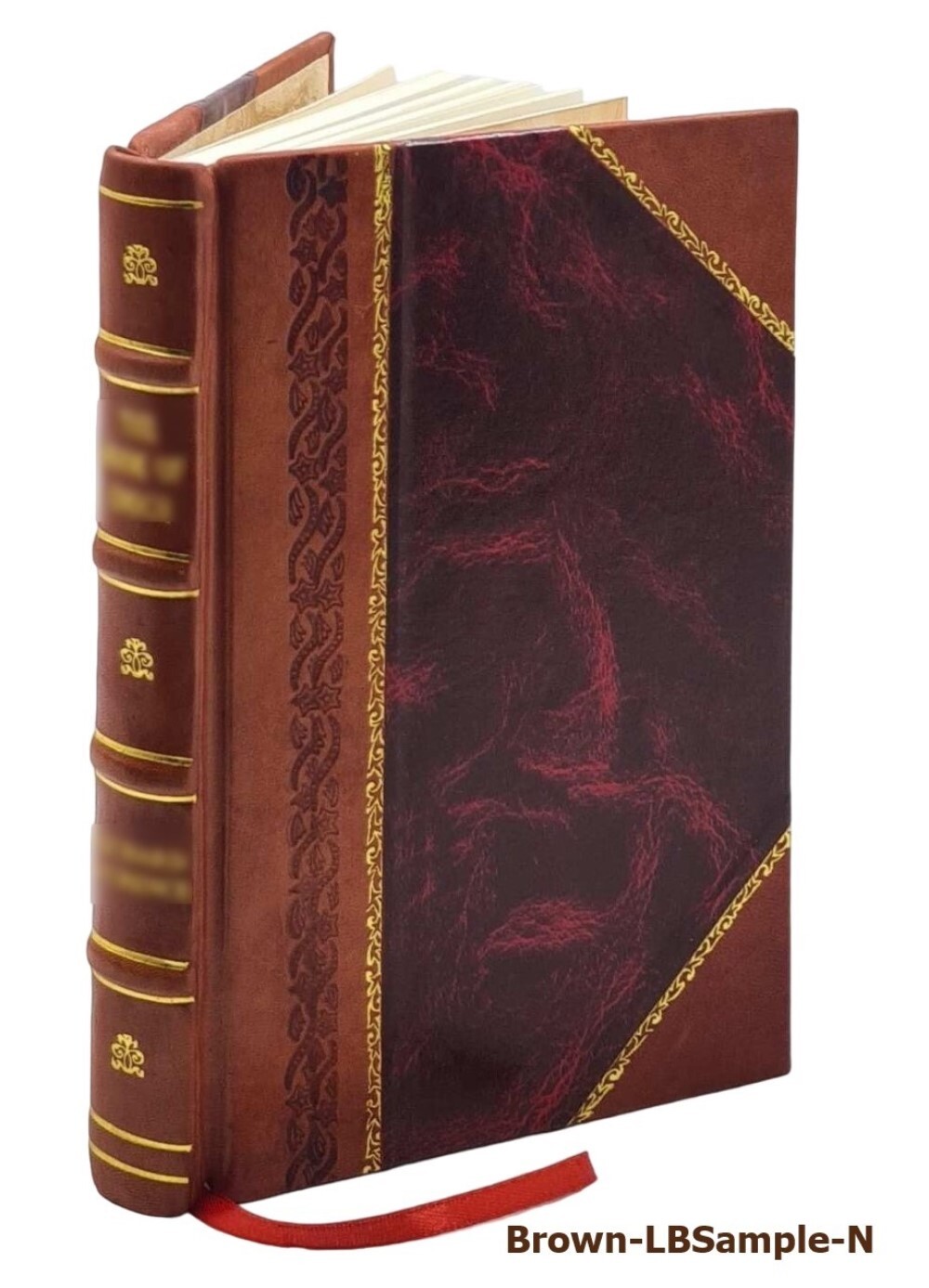 Die Bilanzen der Aktiengesellschaften und der Kommanditgesellsch [Leather Bound]