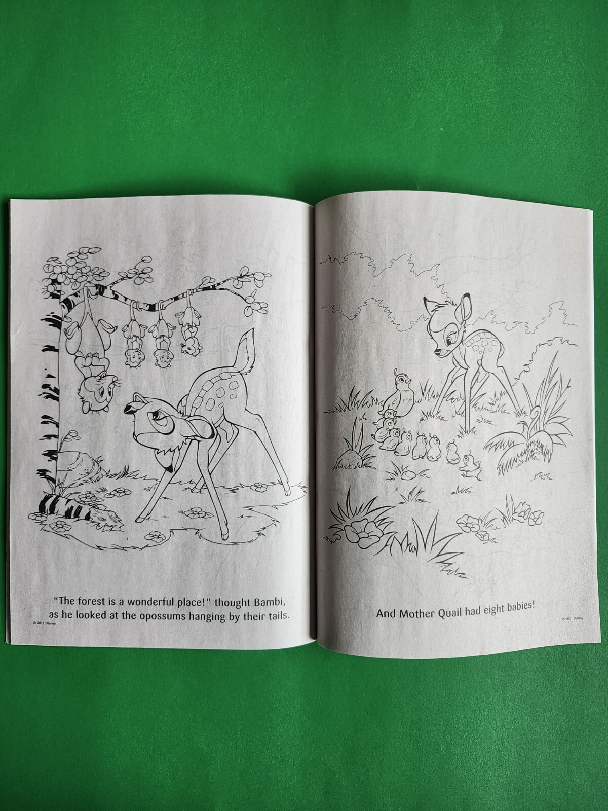 Disney Animal Friends Big Fun Coloring Book Tear Share 80 Pages