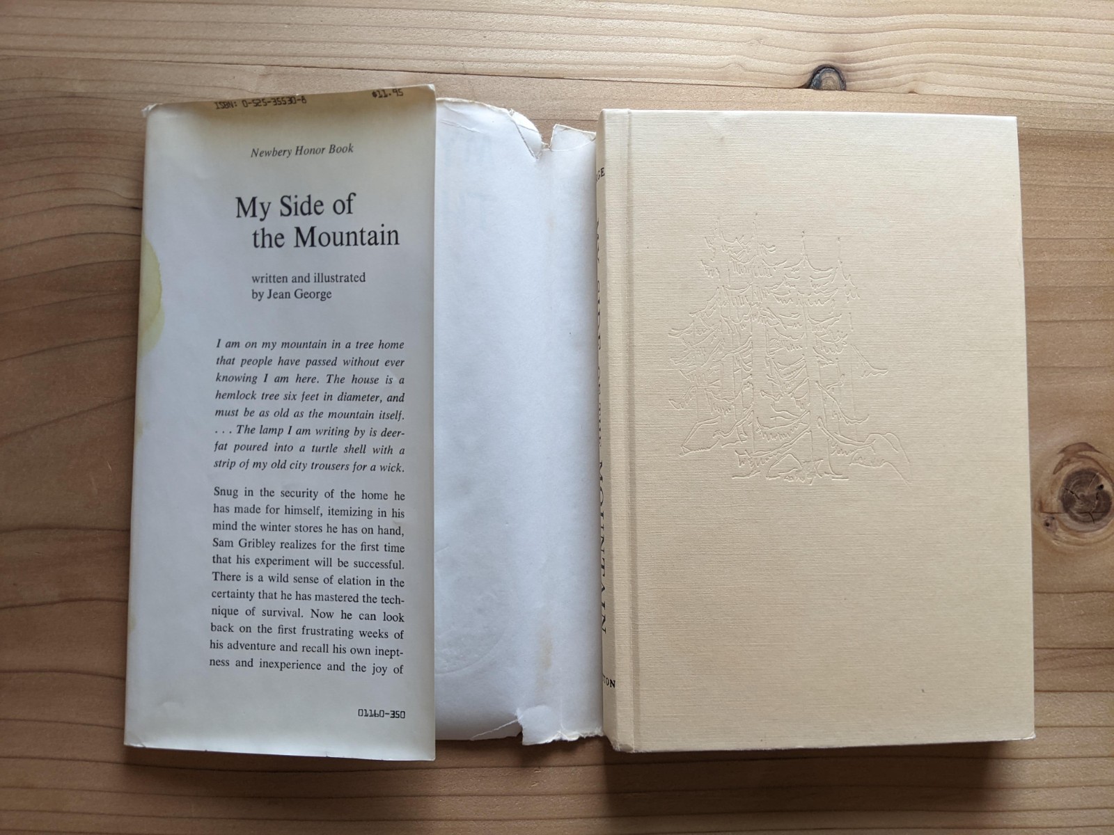 My Side of the Mountain – Hard Cover – Dust Jacket – Newbery Honor Medal – VTG