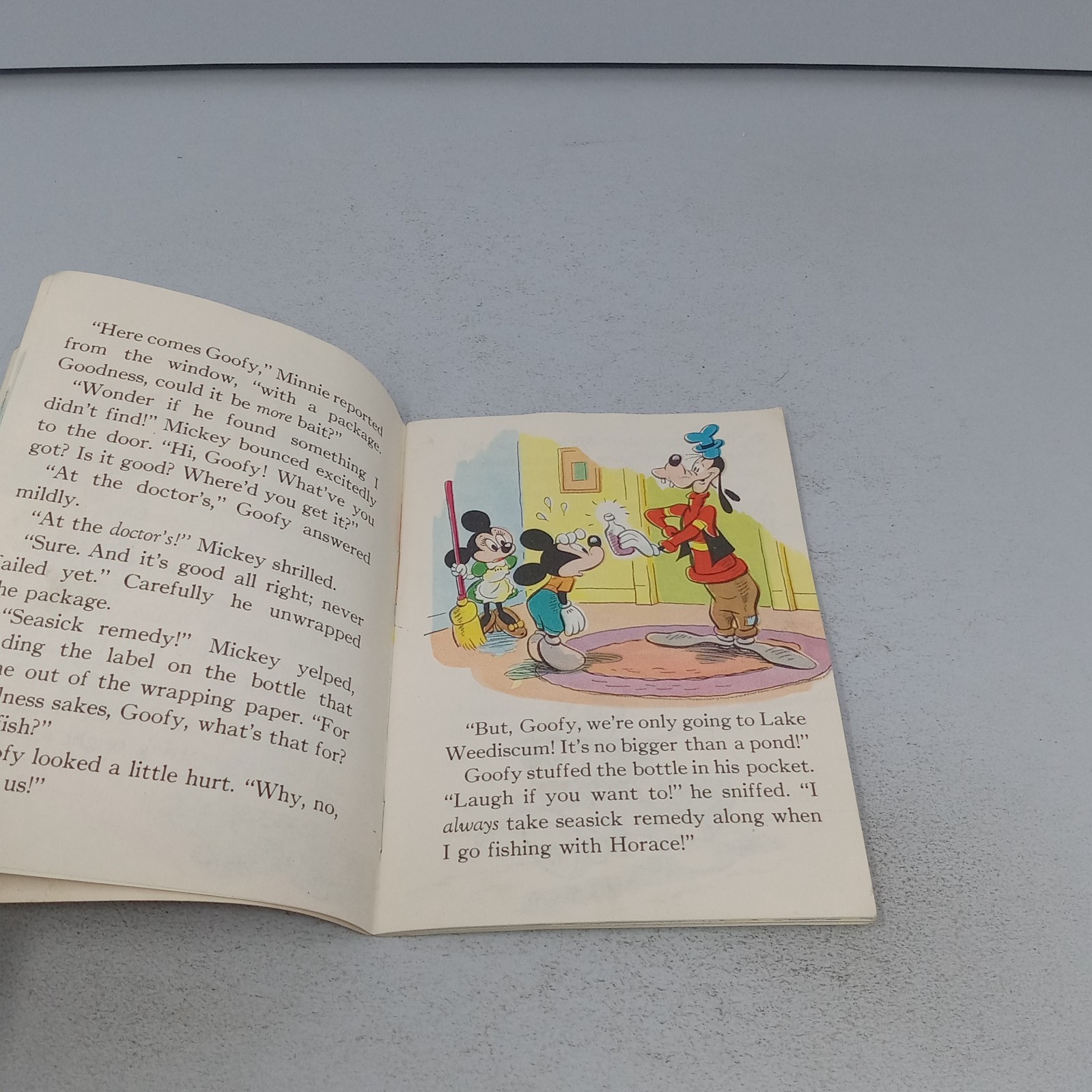 Walt Disney&rsquo;s Mickey Mouse&rsquo;s Summer Vacation 1948 Whitman Publishing Company PB