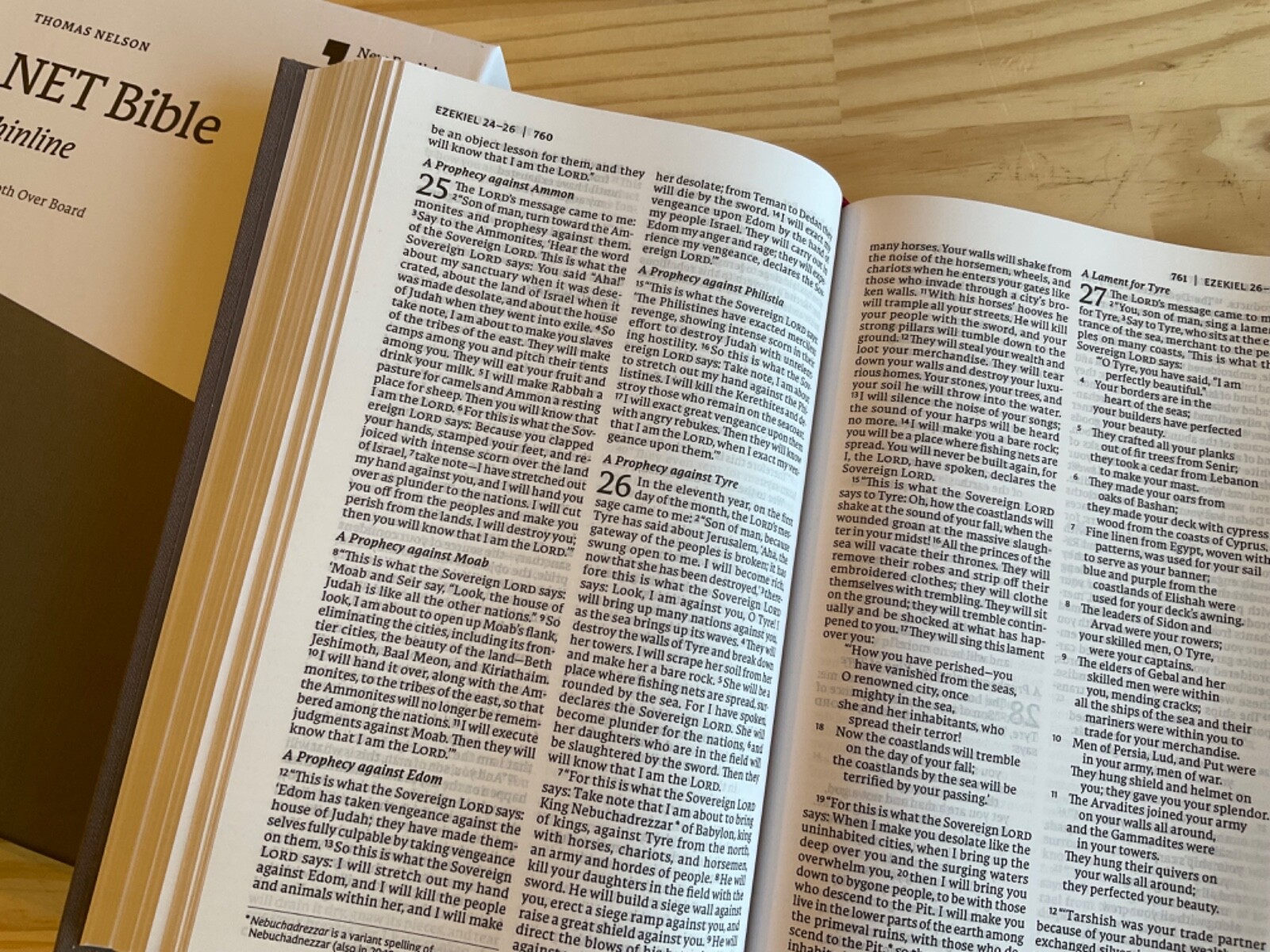 NET Thinline Bible 2019 Gray Hardcover