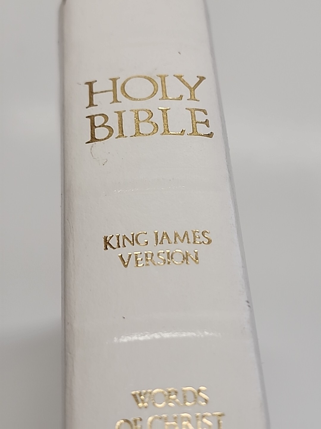 HOLY BIBLE Regency Words of Christ in Red Nelson Pub. King James Version 1977