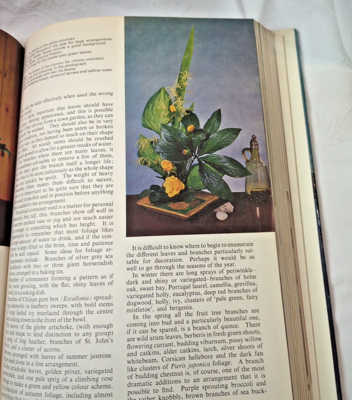 Flower Arranging in Colour By Betty Massingham 1968 301 pages