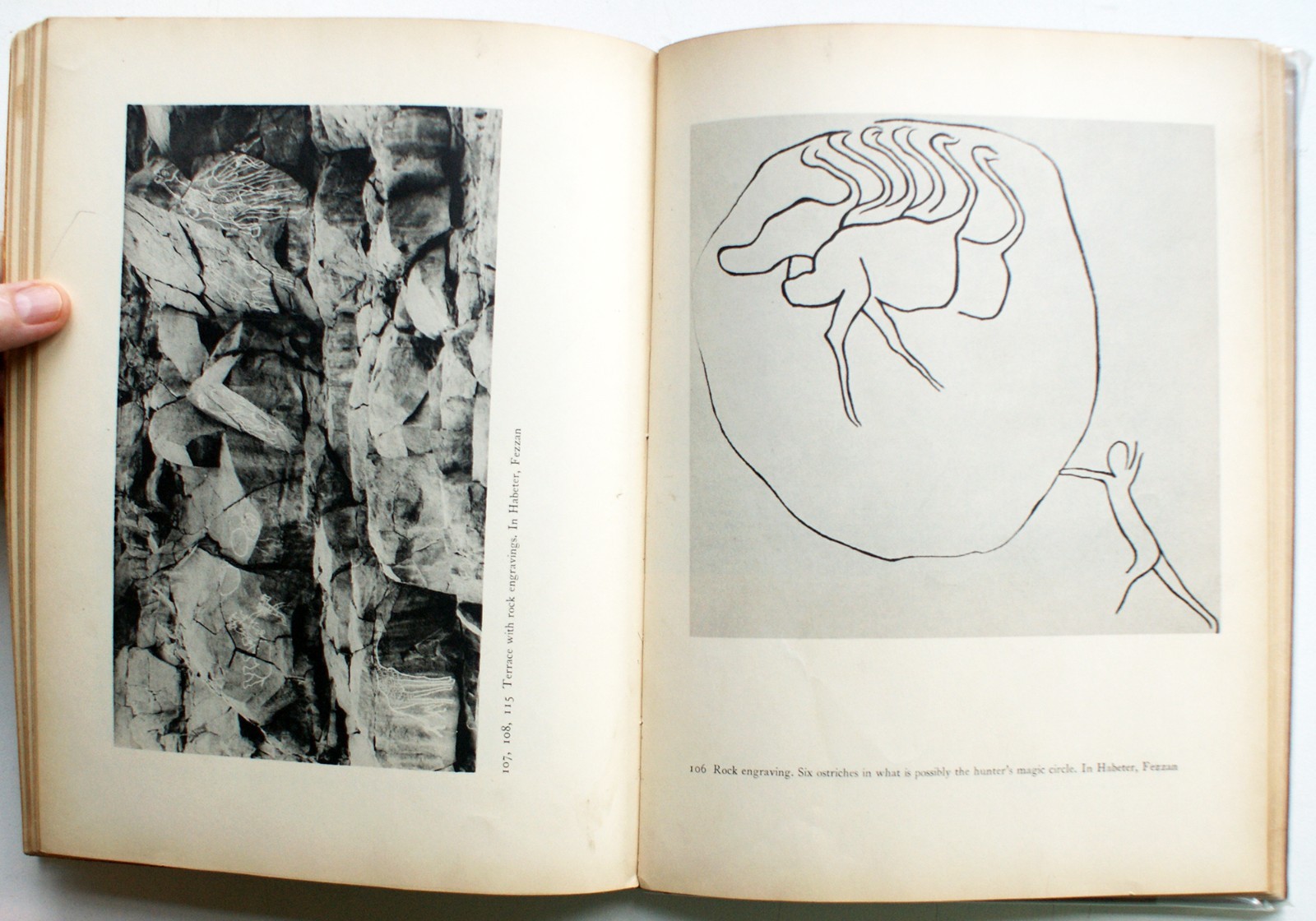 Prehistoric Rock Pictures in Europe & Africa 1937 Museum of Modern Art NY [371]