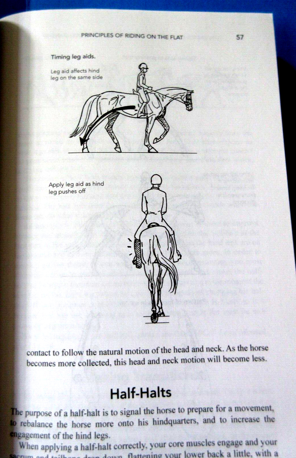 Lot of 3: US Pony Clubs Manual Horsemanship:Book 3 Advanced, Intermediate+ Basic