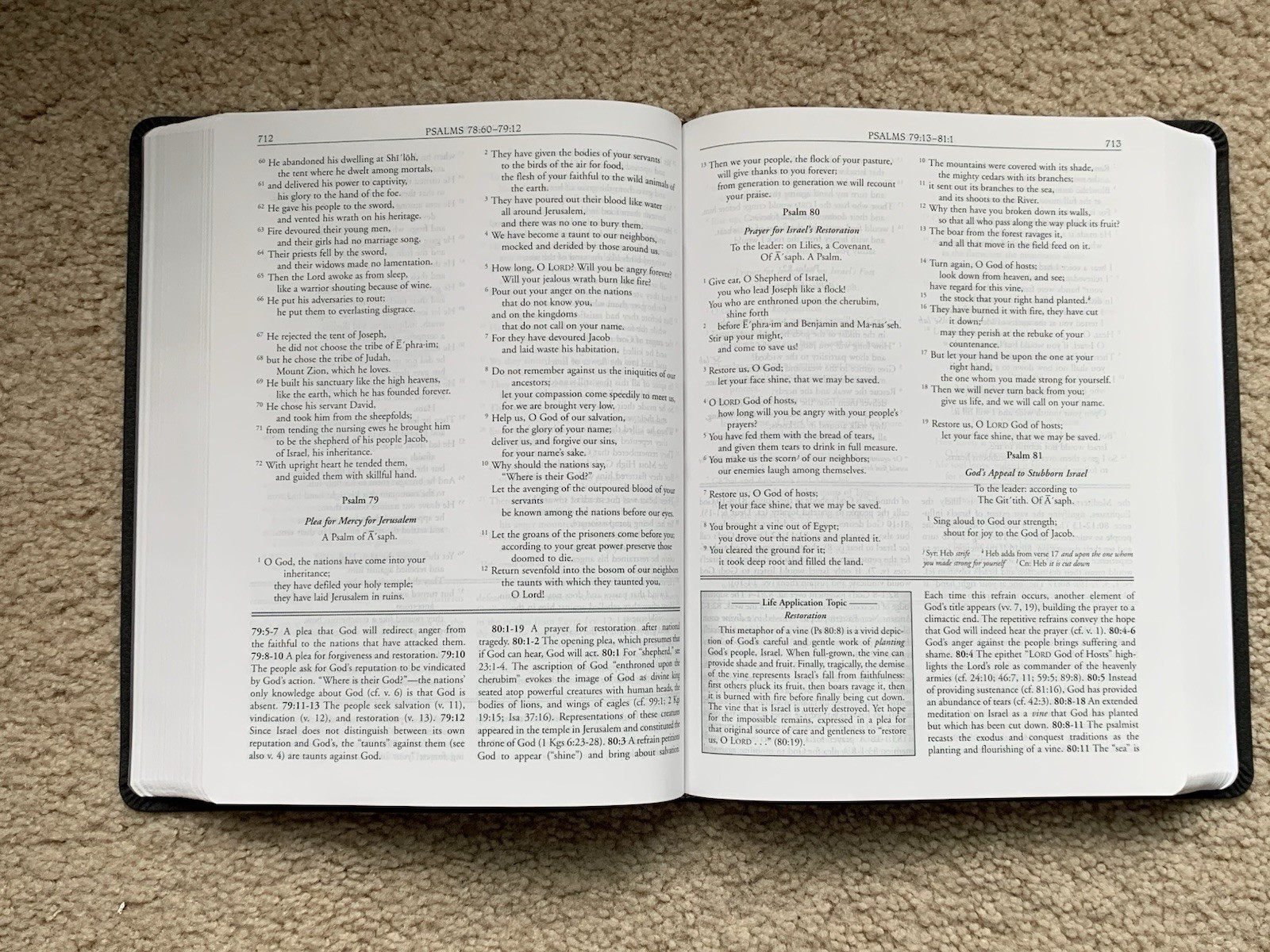 NRSV 89 Wesley Study Bible Charcoal Bonded Leather 2017 Abingdon Press