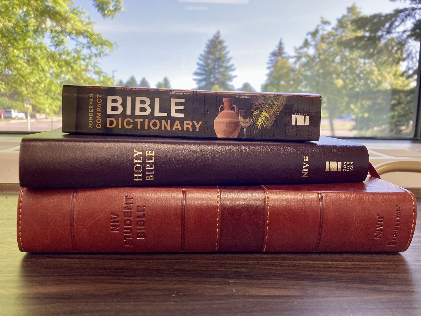 Zondervan&rsquo;S Compact Bible Dictionary