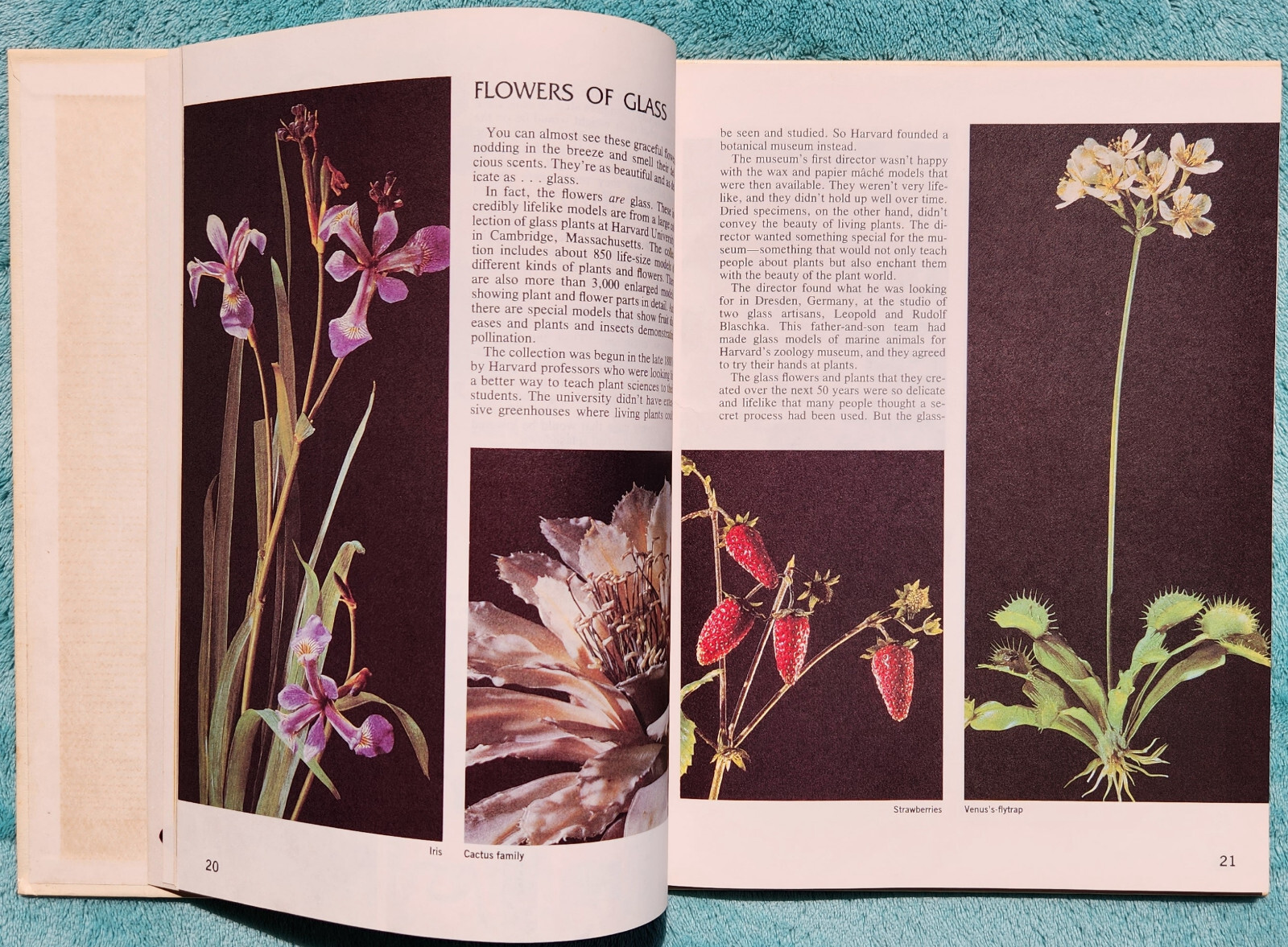 Disney&rsquo;s Wonderful World Of Knowledge 1984 Yearbook Hardcover 124 Pages