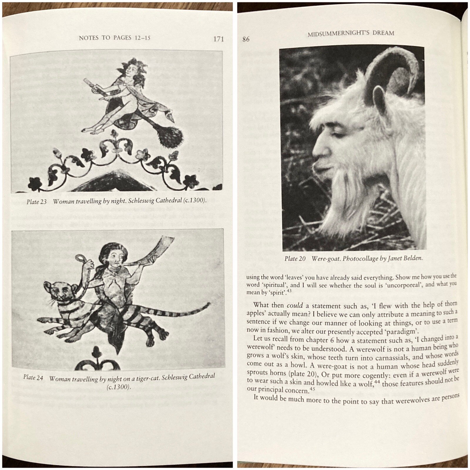Dreamtime – Hans Peter Duerr (1st ed. thus, 2nd print HC) Basil Blackwell, 1985