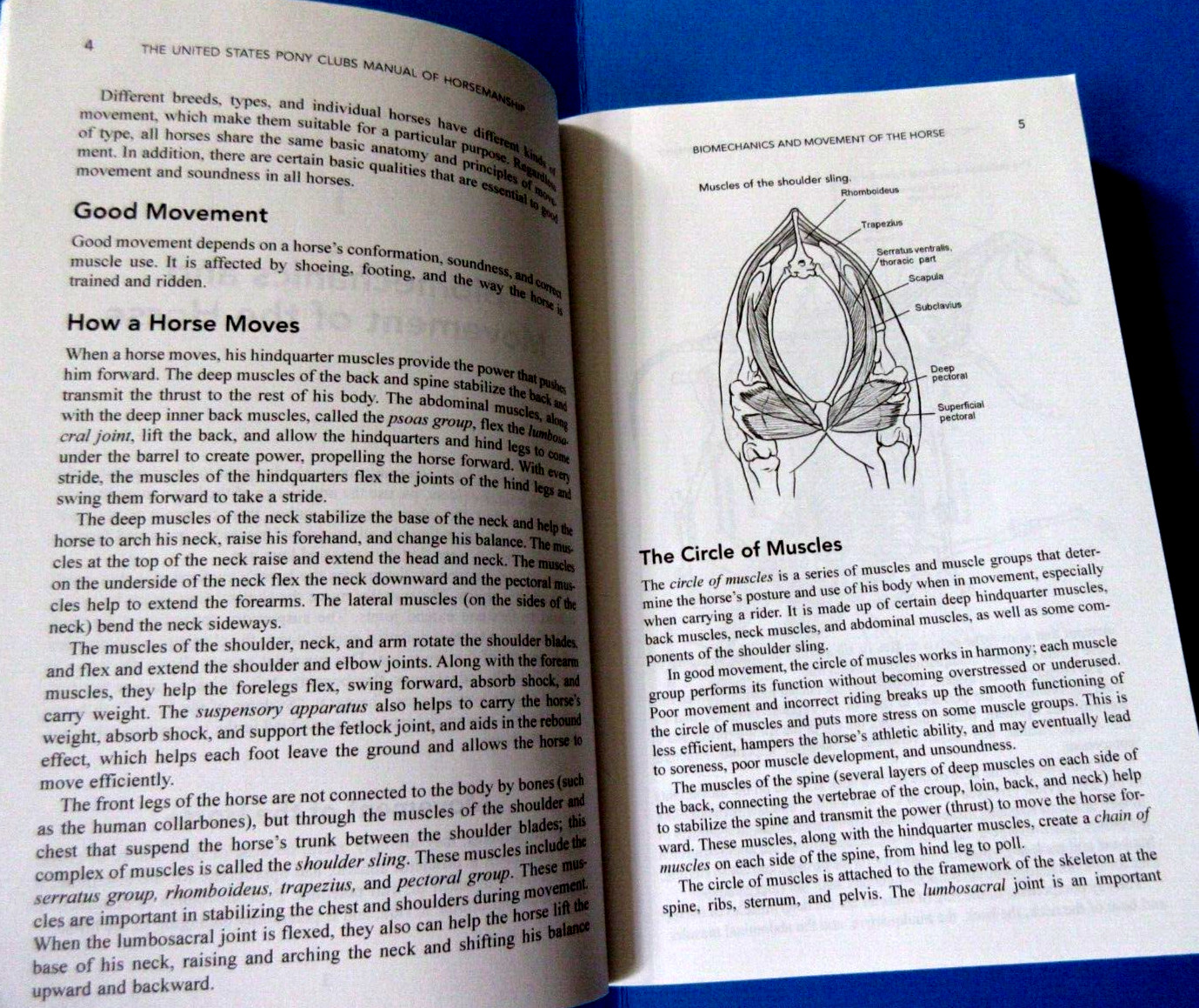 Lot of 3: US Pony Clubs Manual Horsemanship:Book 3 Advanced, Intermediate+ Basic