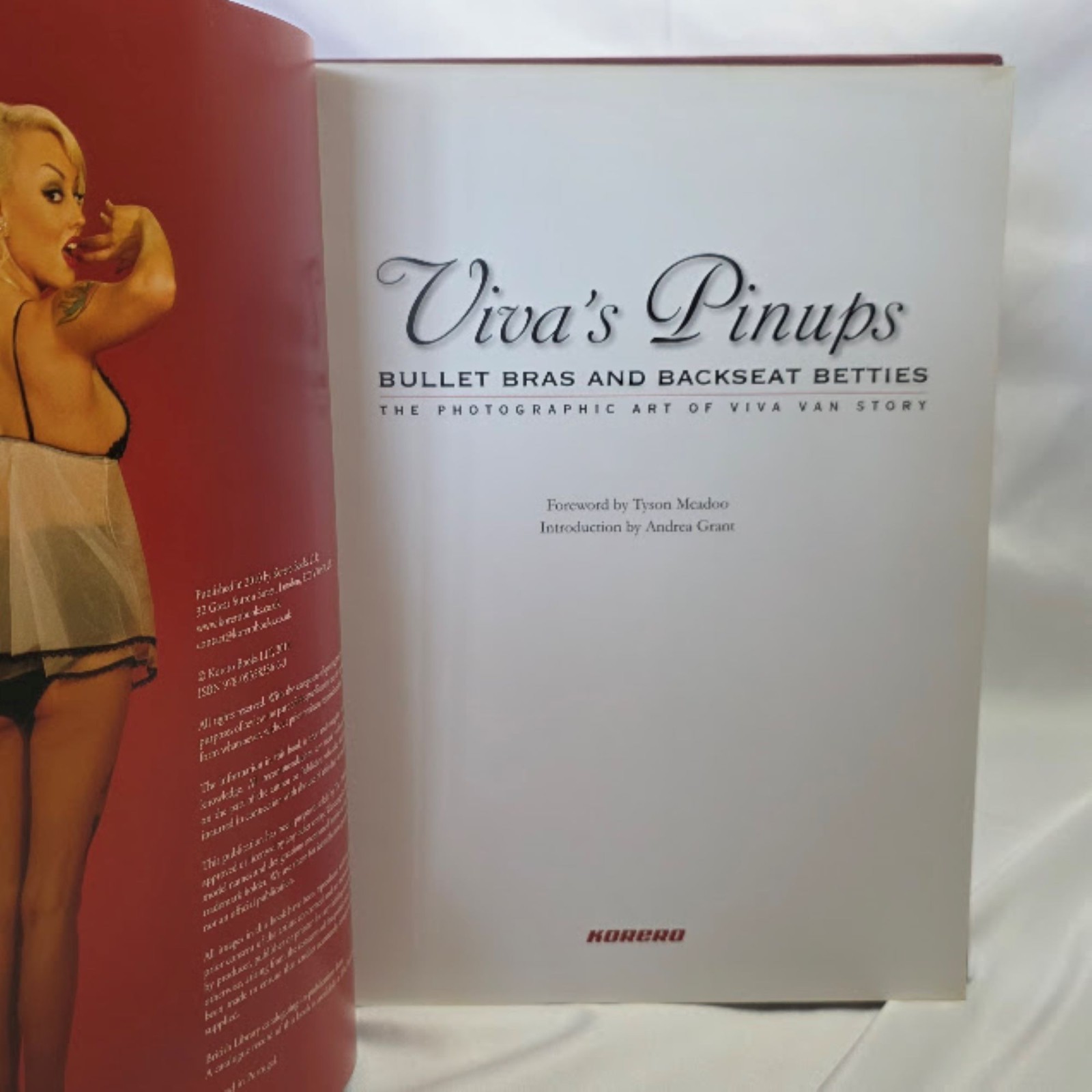 Viva&rsquo;s Pinups : Bullet Bras and Backseat Betties by Tyson McAdoo and Korero…