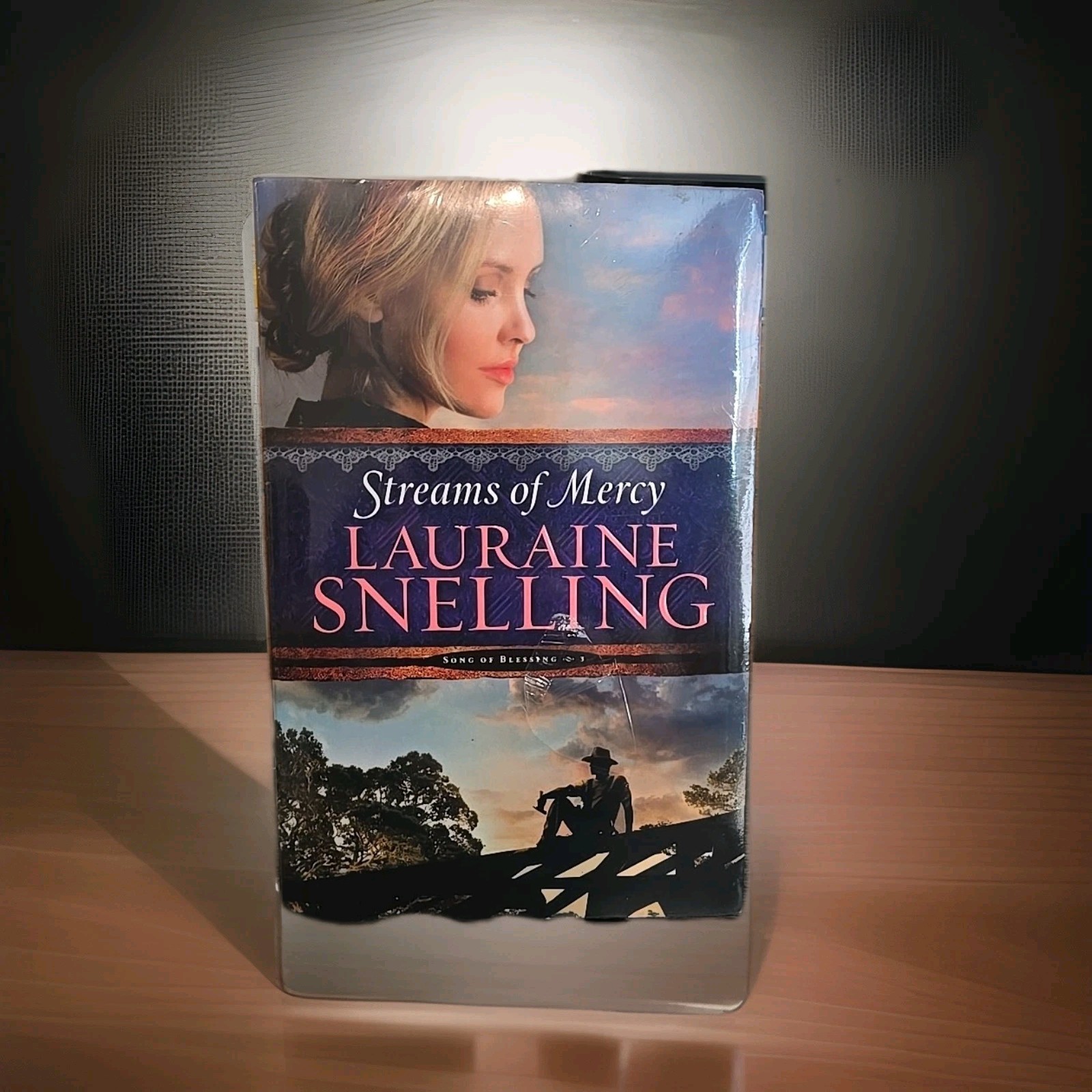 Streams of Mercy by Lauraine Snelling (2015, Trade Paperback)