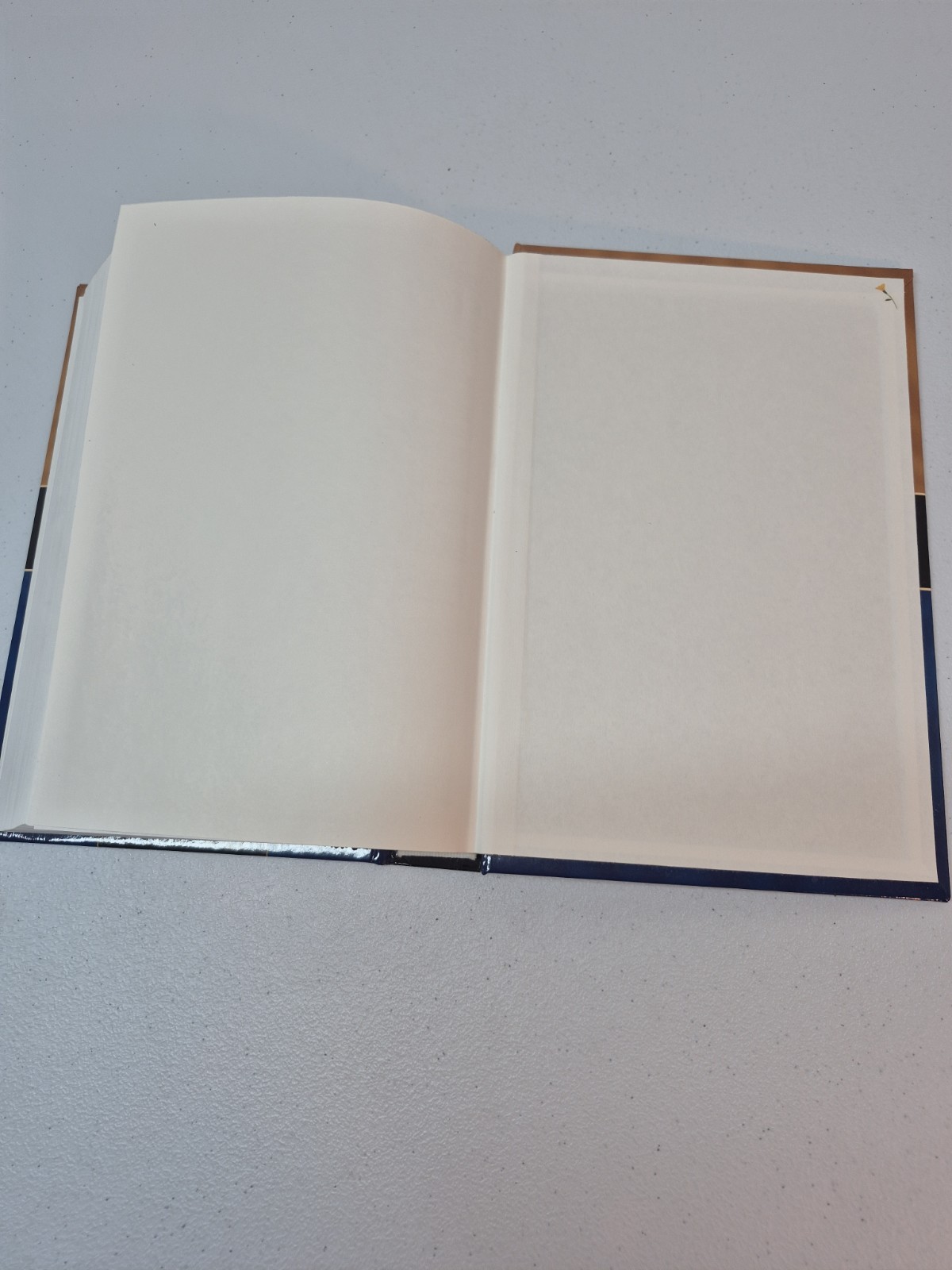 Nelson&rsquo;s KJV/NKJV Parallel Bible with Center-Column References 1st Pages Removed