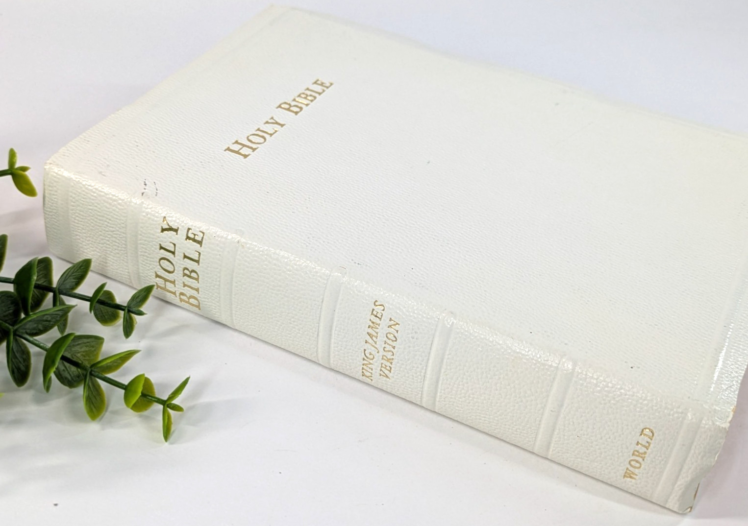 ✝️Holy Bible Self-Pronouncing Illustrated White Cover KJV World Publishing 70&rsquo;s?