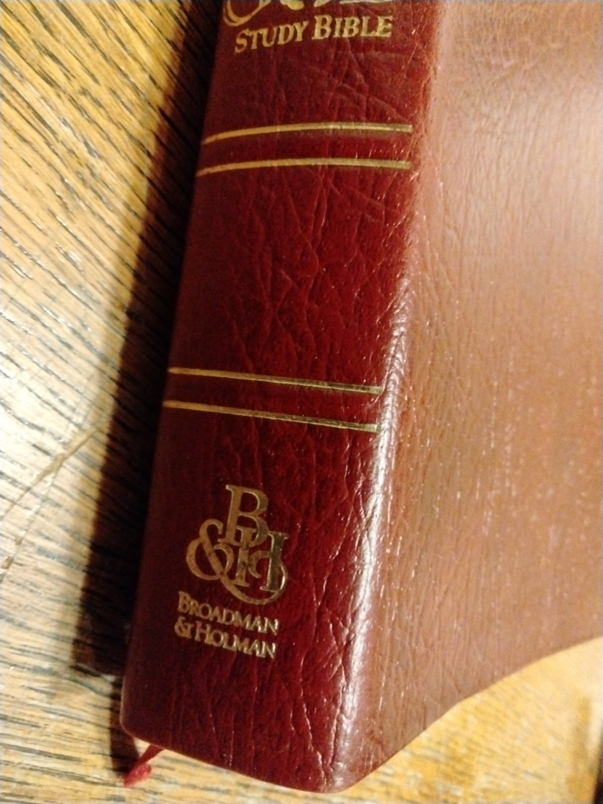 NIV Experiencing God Study Bible – Burgundy Genuine Leather – 1996