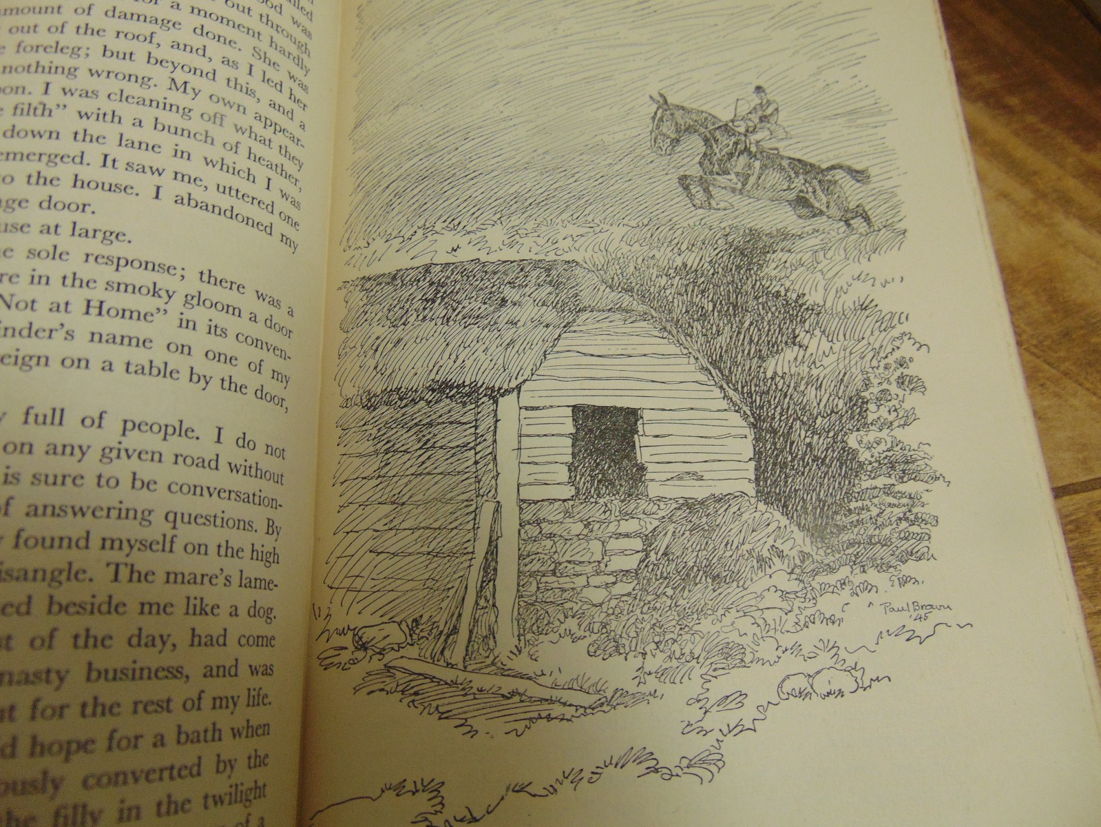 Great Horse Stories 1st Ed selected by Page Cooper Doubleday & Co 1946 HC