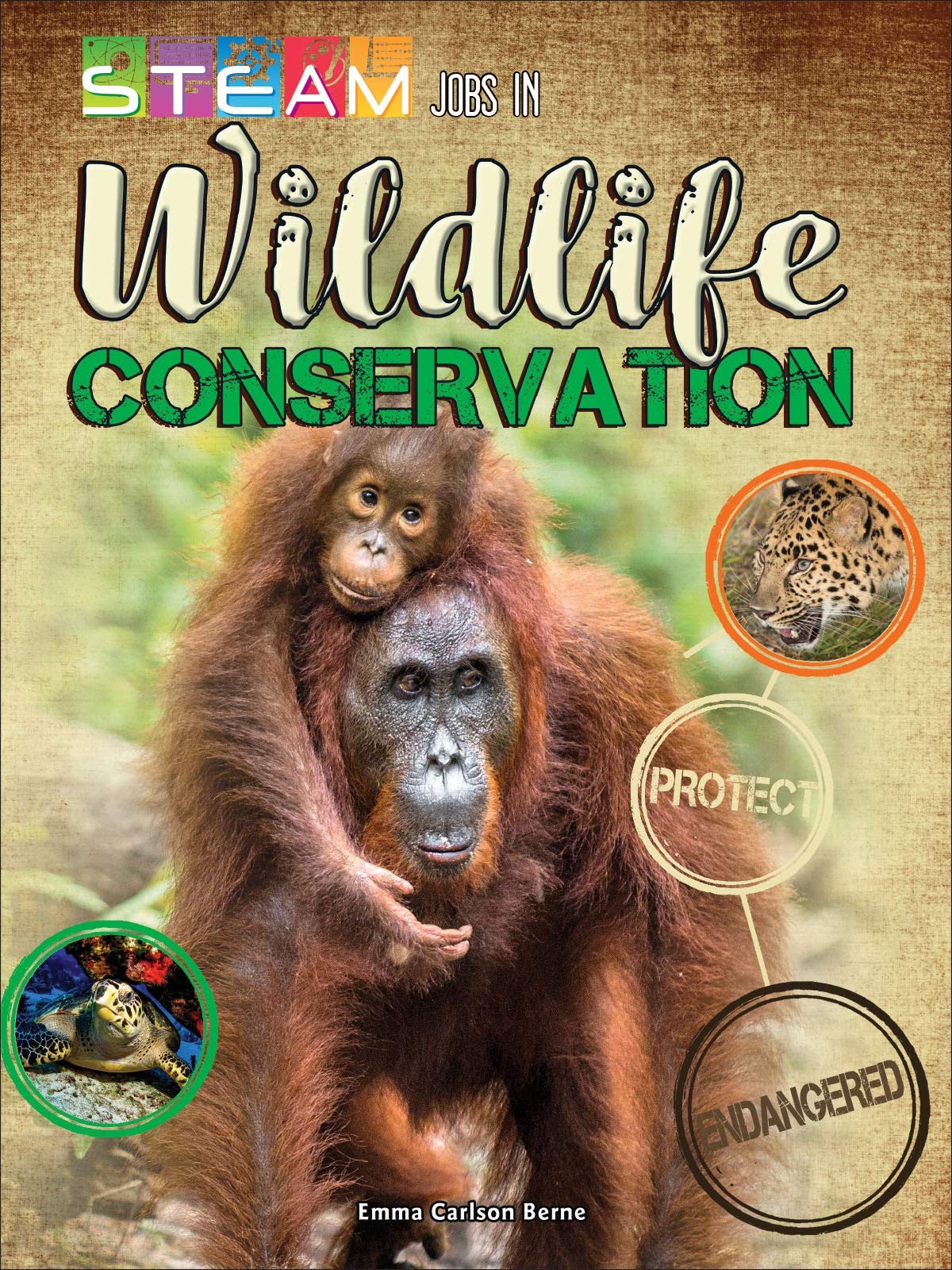 STEM Jobs in Wildlife Conservation (STEAM Jobs You&rsquo;ll Love)
